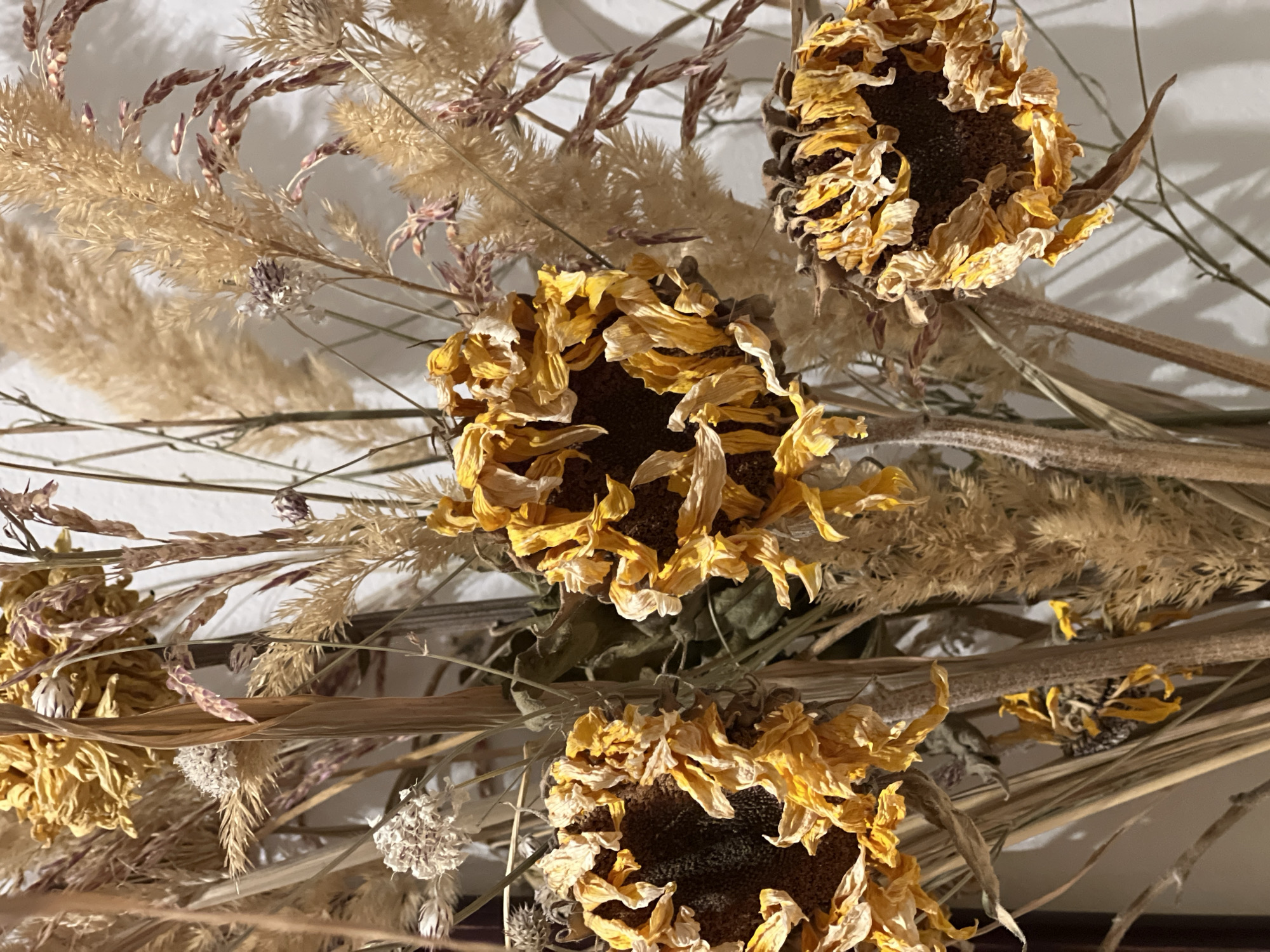 The image shows a close-up of dried flowers and foliage, including sunflowers with withered yellow petals and brown centers, and various types of grasses and reeds in beige and brown tones. The arrangement is set against a white or light-colored background. The composition suggests an indoor setting, likely a decorative display. There is no information available in this image to determine a specific location in the city of Palilula Urban Municipality, Serbia.