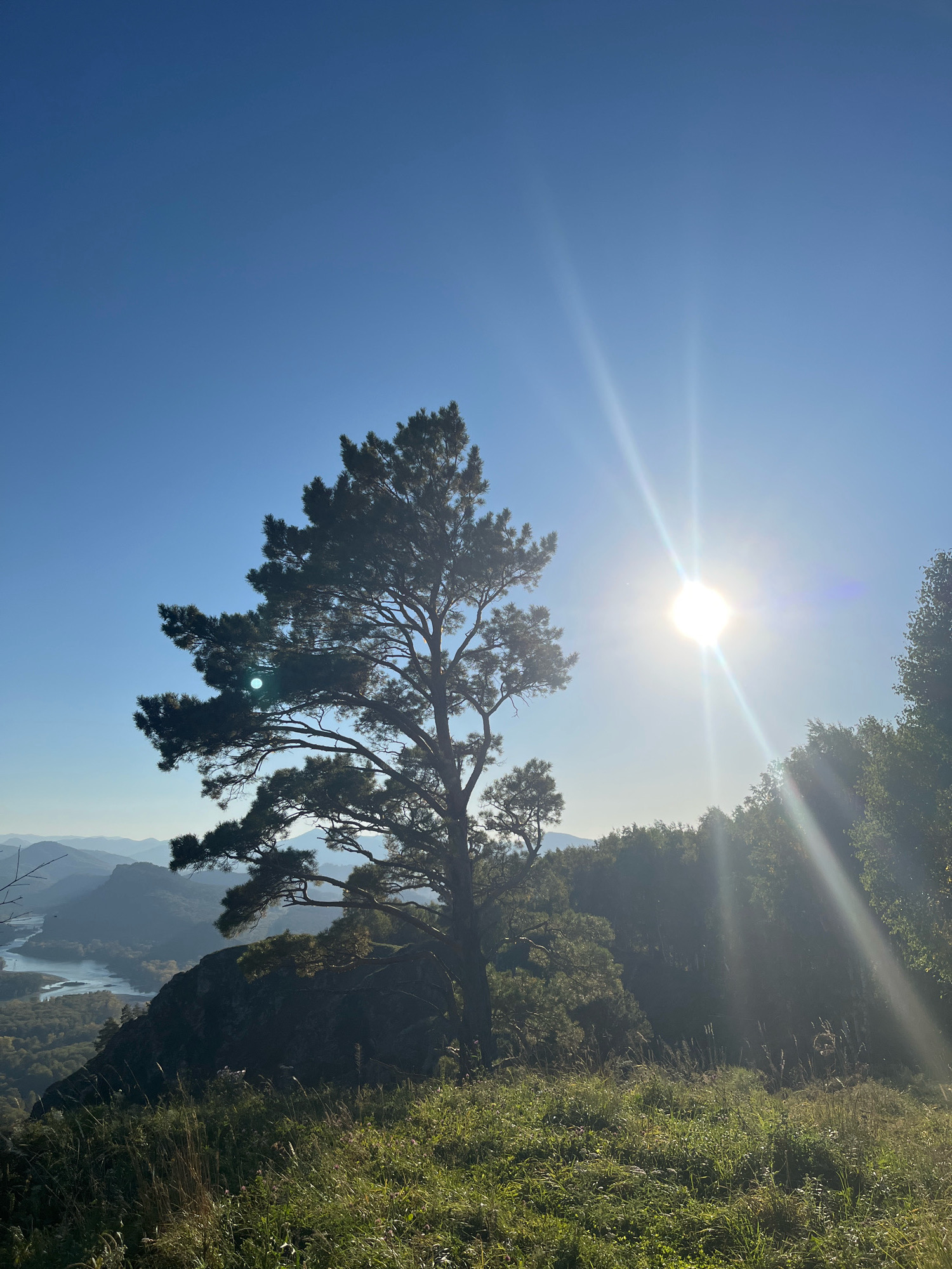 The image captures a serene, high-angle view from a grassy hilltop overlooking a valley. A large pine tree dominates the foreground on the left, its branches silhouetted against a clear blue sky. The sun is positioned in the upper right quadrant of the frame, its bright rays creating a lens flare effect that extends across the sky and through the foliage of trees on the right. In the middle ground, layers of rolling hills recede into the distance, with a river winding through the valley floor. The overall environment suggests a natural landscape, likely in a rural or mountainous area, with a focus on the interplay of light and shadow on the natural elements. The scene is devoid of any people or man-made structures, emphasizing the tranquility of the natural setting. This location is identified as being in Nizhnekaryancha, Russia.