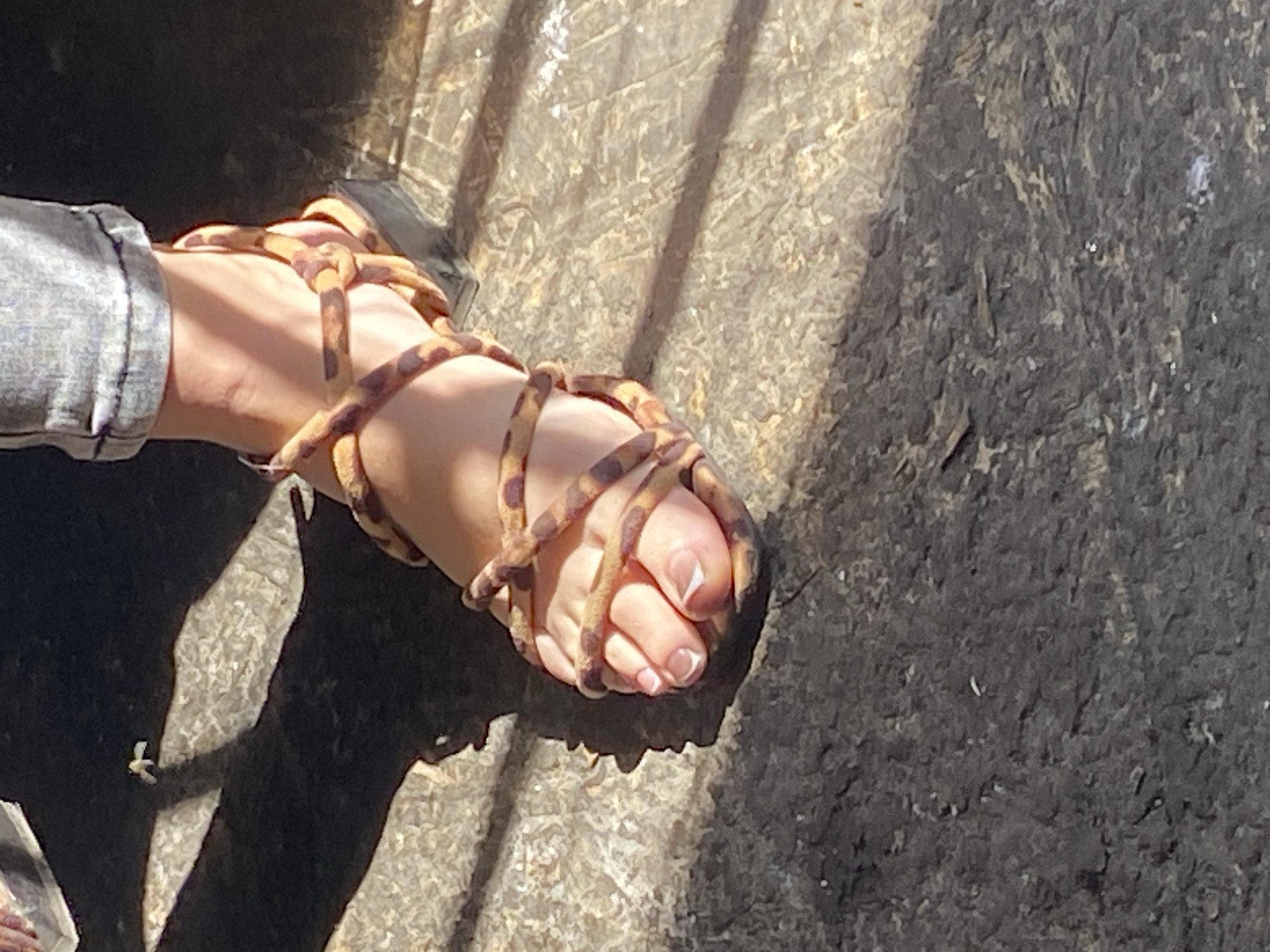 A close-up, eye-level shot focuses on a person's left foot wearing a leopard-print sandal with braided straps. The foot is resting on a rough, textured surface that appears to be a mix of dark gray and lighter, possibly concrete or stone, with patches of light and shadow cast across it. The sandal has a low, dark heel. The person's toes, with light-colored nail polish, are visible through the straps of the sandal. The background is blurred, but appears to be a continuation of the textured surface, with shadows indicating an outdoor setting. A small, white insect is visible in the upper left quadrant of the image, on a lighter patch of the textured surface.