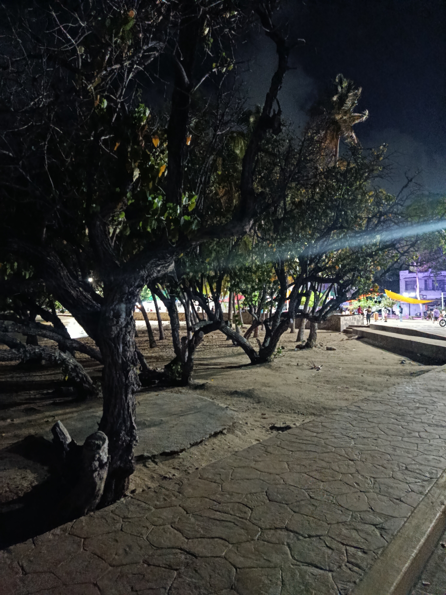 A low-angle night shot captures a pathway in Juan Griego, Venezuela, lined with trees whose gnarled branches dominate the foreground. The pathway is paved with large, irregular stones and is illuminated by artificial lights, casting shadows on the sandy ground. In the background, beyond the trees, buildings are visible, along with several people walking and a motorcycle parked on the side. The overall scene suggests a public space in Juan Griego, possibly a promenade or park, at night.