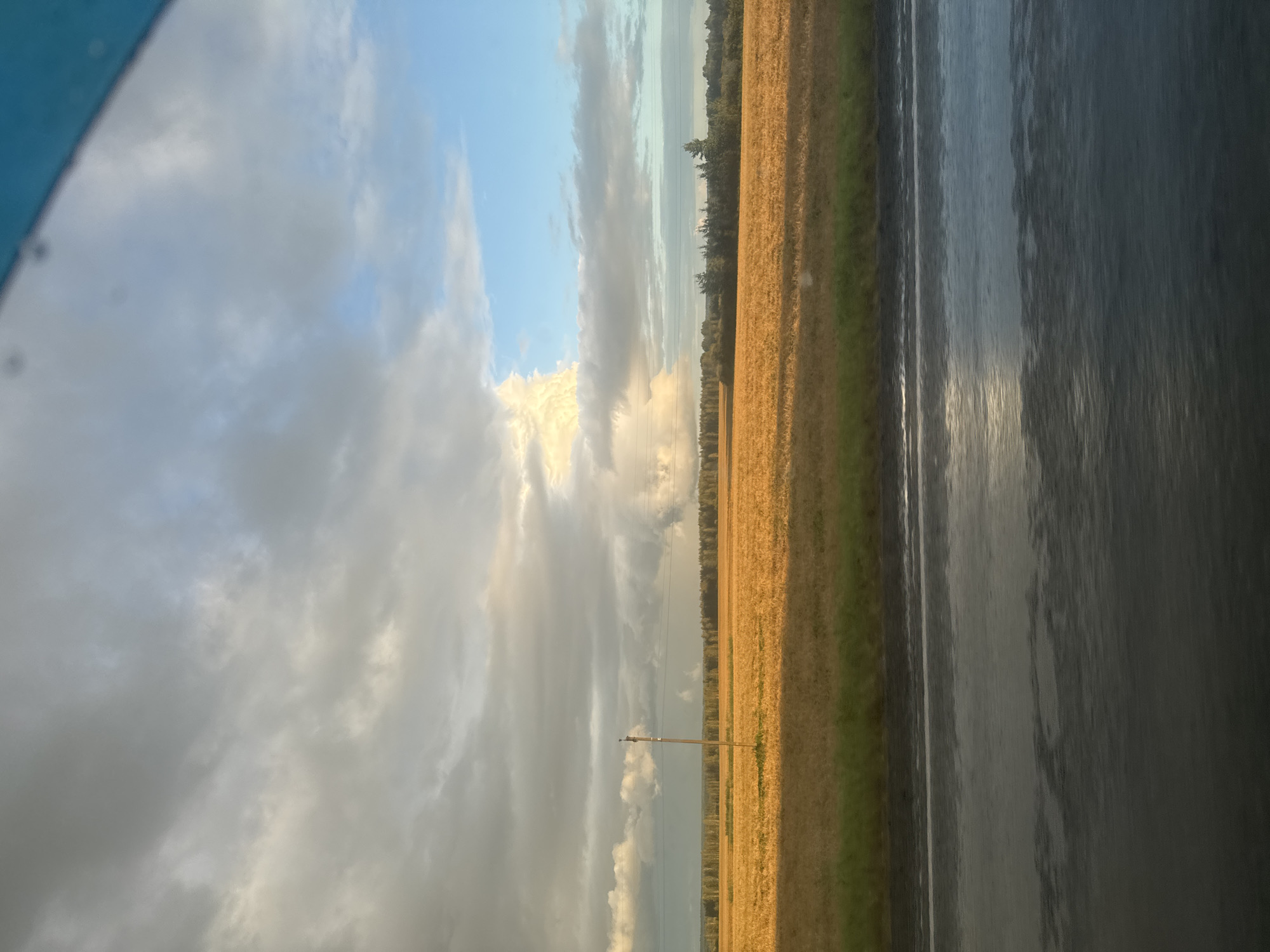 A wide-angle, eye-level, outdoor shot captures a rural landscape in Botniki, Russia. The scene is dominated by a vast, golden field of crops that stretches to the horizon, where a dense line of trees forms a dark silhouette against the sky. A single, weathered wooden utility pole stands in the middle ground, its shadow cast across the field. Above, the sky is a dramatic canvas of contrasting clouds. Thick, grey clouds fill the upper left portion, while to the right, patches of bright blue sky are visible. A large, luminous white cloud formation, possibly a cumulonimbus, bursts with light on the far right, suggesting an approaching storm or the remnants of one. In the foreground, a dark, wet asphalt road reflects the sky and the golden field, indicating recent rain. The overall impression is one of natural beauty and the power of the elements in a tranquil rural setting.