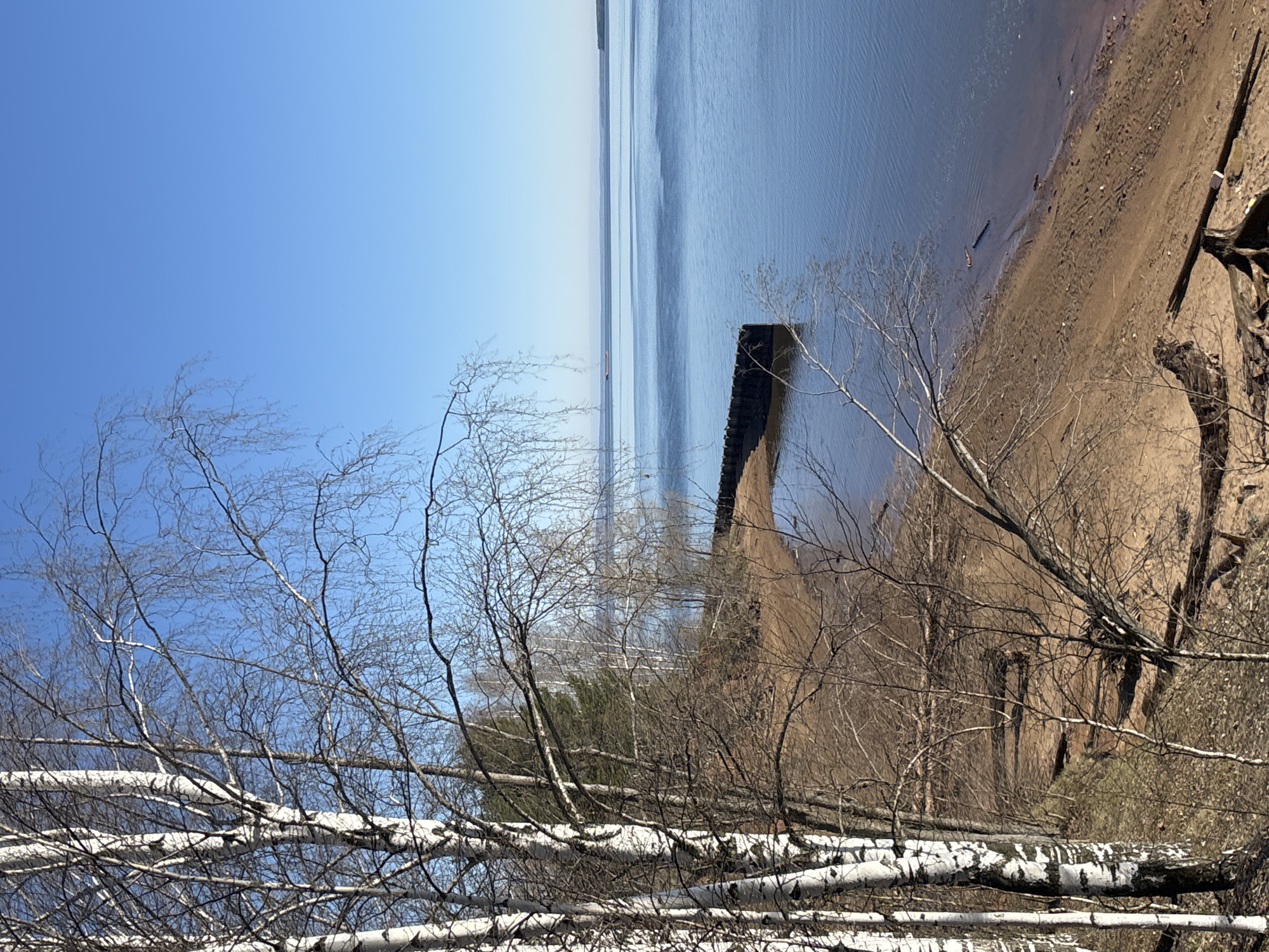 The image shows a waterfront scene in Chaikovsky, Russia. A calm body of water stretches towards the horizon under a clear blue sky. The shoreline is visible on the right side of the frame, composed of sandy earth. Bare trees and branches are prominent in the foreground, including fallen birch trees. There is a dark, rectangular structure extending into the water, possibly a pier or retaining wall. The image appears to be taken during early spring or late fall.