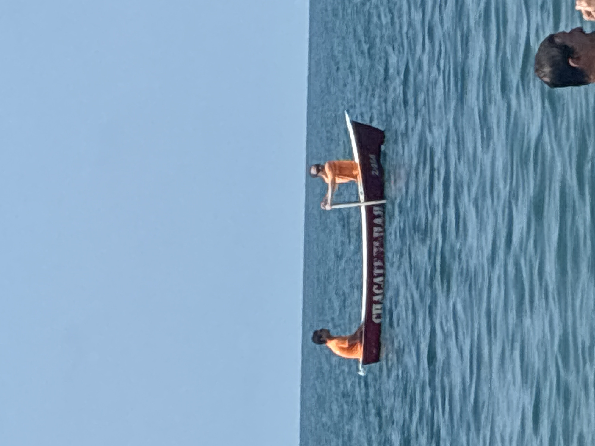 Two men are in a small boat on the sea, with the city of Sochi, Russia, visible in the distance. The boat has red sides with white lettering that reads "CHACATEBA" and the number "2454". The man in the front of the boat is sitting and looking to the side. The man in the back is standing and rowing the boat. Both men are wearing orange shirts. The water is choppy, and the sky is clear and blue. In the foreground, a person's head and shoulders are visible above the water.