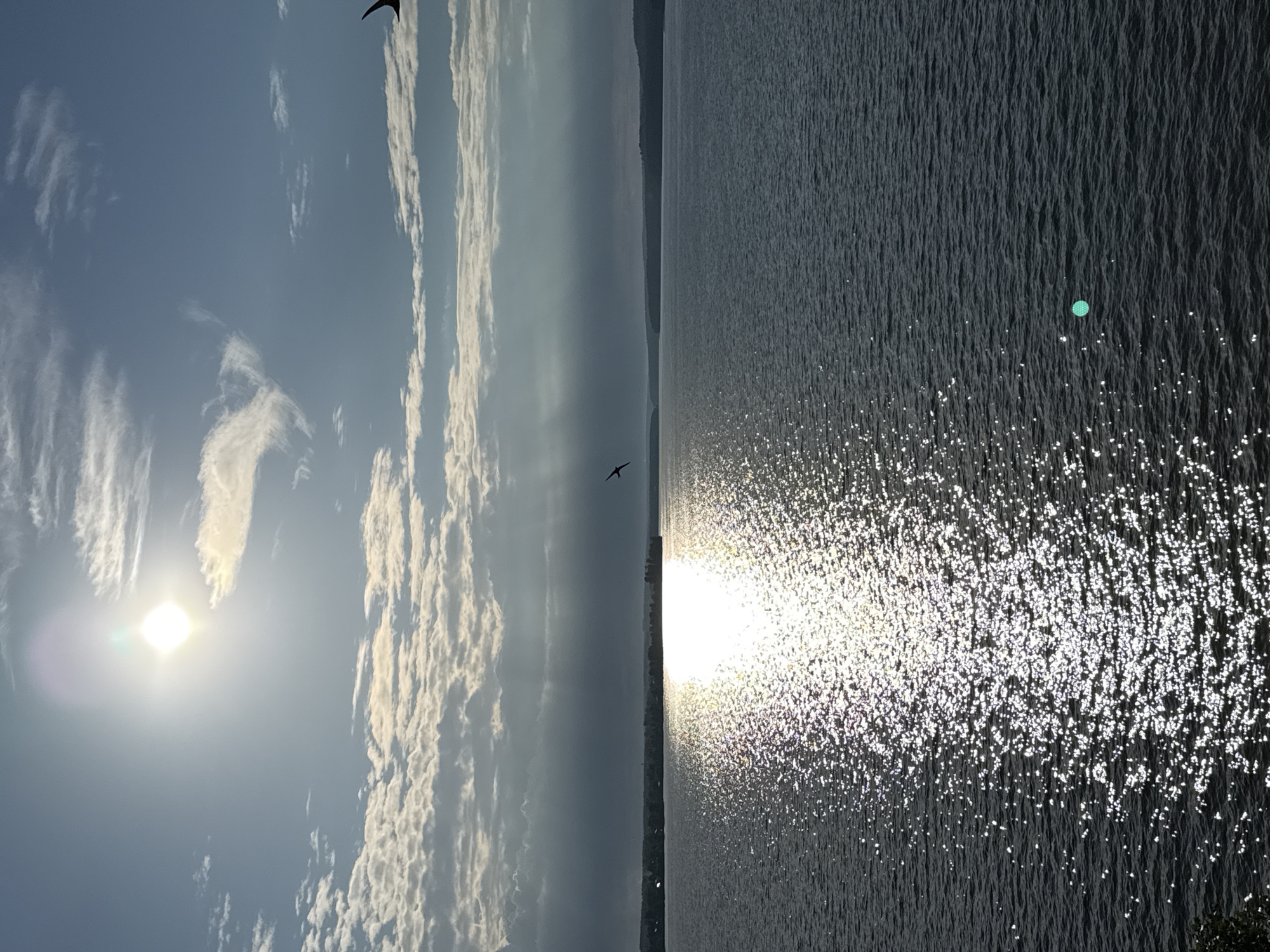 The image depicts a wide, calm body of water, likely a lake or river, under a bright, partially cloudy sky. The sun is high and intense, casting a strong glare on the water, creating a shimmering, speckled effect. A distant shoreline with trees is visible across the water, suggesting a natural or semi-rural setting. Two birds are in flight, one on the left side of the frame and another on the right, silhouetted against the sky. The overall atmosphere is serene and expansive. The location is Votkinsk, Russia.