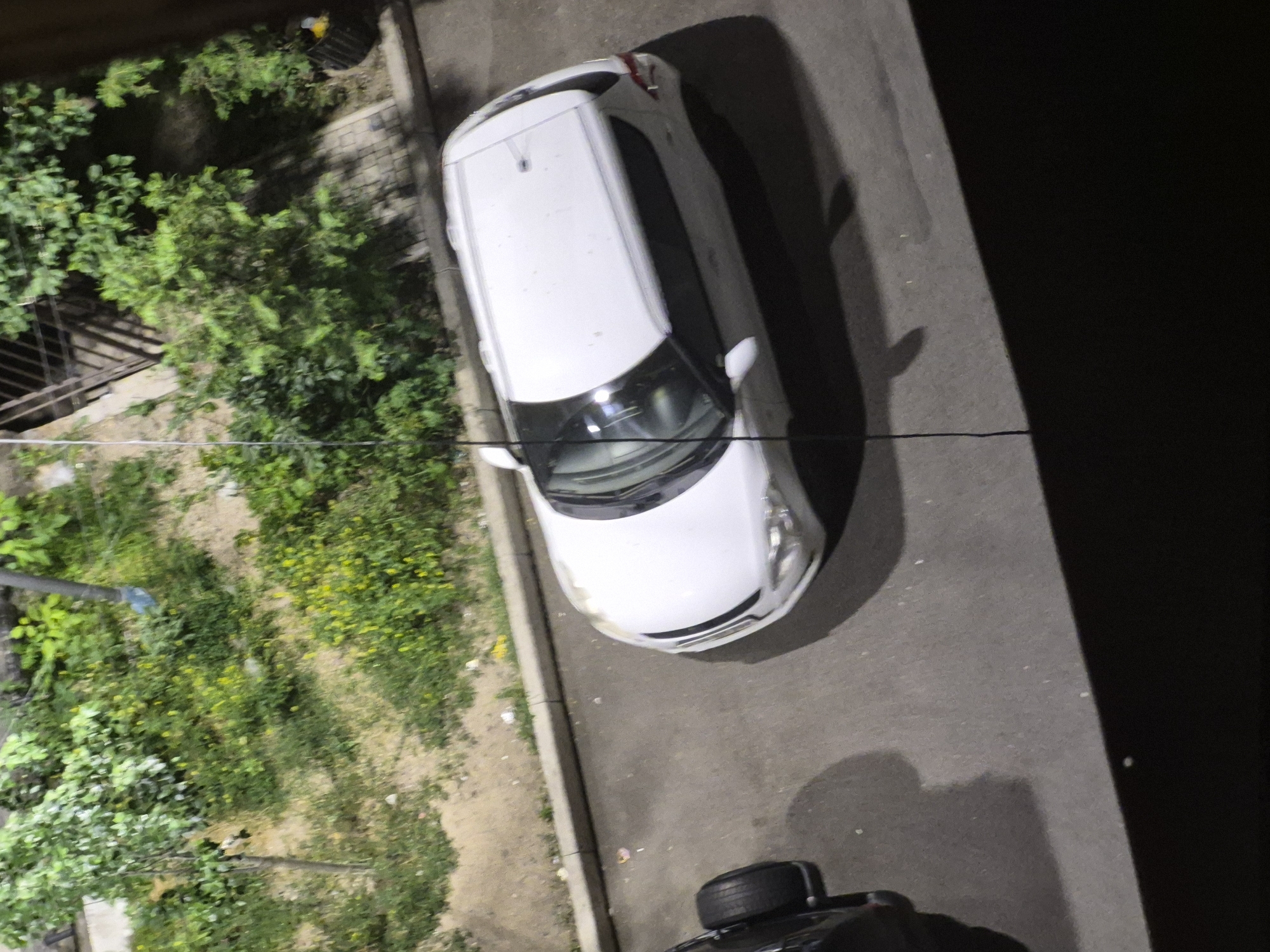 The image, captured from an elevated perspective looking downwards, shows a white sedan parked on a dark paved surface at what appears to be night or late evening due to the low light conditions and visible shadows.
The main subject is a white car, oriented with its front facing towards the bottom right of the frame. Its roof, windshield reflecting some ambient light, and the front bumper with headlights are clearly visible. The car is parked alongside a concrete curb that separates the paved area from a patch of overgrown greenery.
To the left of the paved area, a dense expanse of various green bushes and plants dominates the scene. Scattered among the foliage are small yellow flowers or patches of lighter green. The ground beneath the plants appears to be dirt or earth. A dark, possibly metallic, structure resembling a fence or railing is partially visible within the dense greenery on the far left. A thin, dark line, likely a wire or cable, horizontally traverses the image across both the green area and the paved road.
In the lower right section of the image, parts of a second, darker vehicle are visible. Specifically, a black spare tire is mounted on the back of this dark vehicle, suggesting it might be an SUV or a jeep, and it casts a prominent shadow on the paved ground. Other elongated, indistinct shadows are also cast across the dark pavement, indicating light sources from outside the frame.
No people or explicit activities are taking place; the cars are stationary. There is no visible text within the image. The setting suggests an outdoor urban or suburban environment, possibly a street or a parking lot adjacent to a vegetated area.