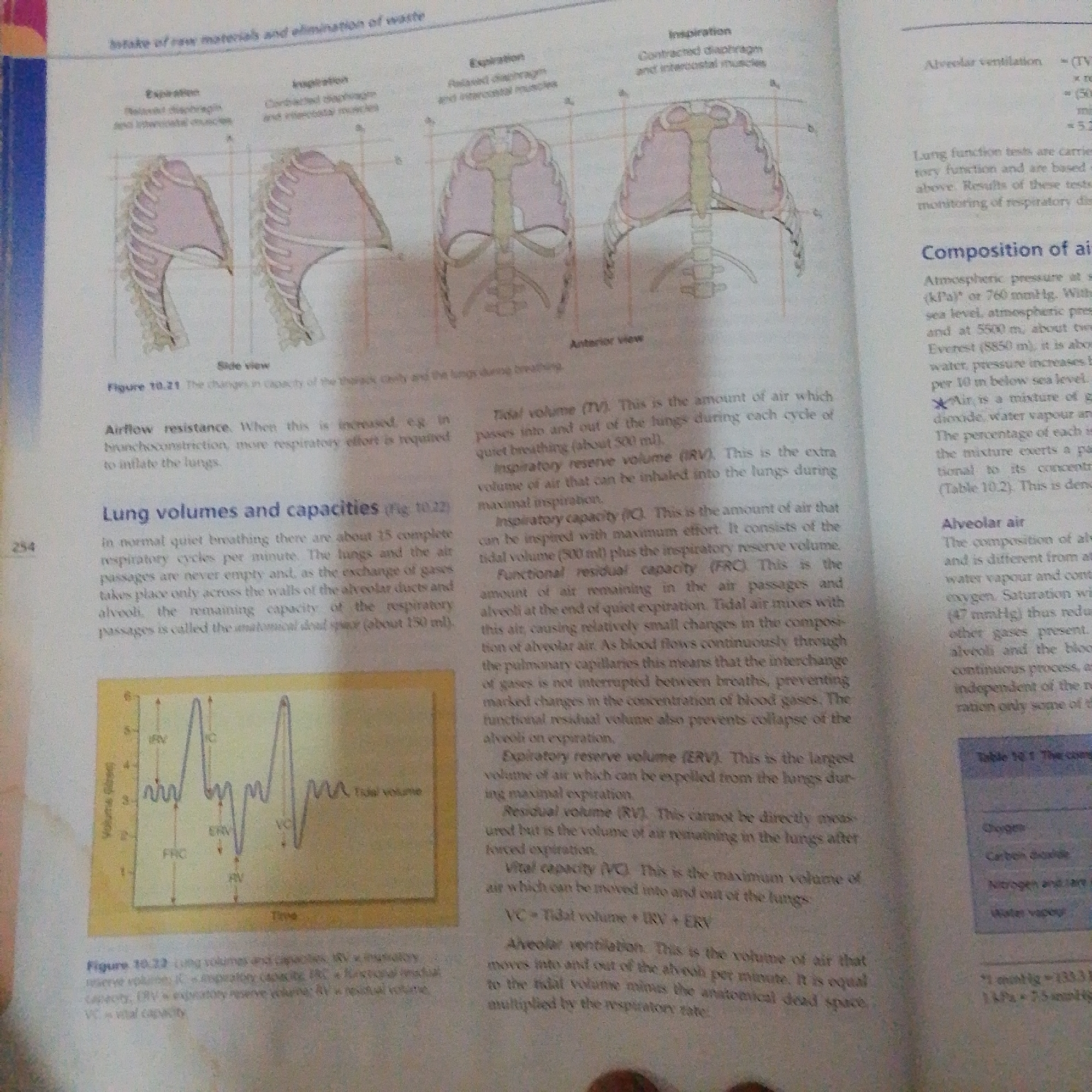 The image shows a page from a biology textbook discussing respiratory physiology. It includes diagrams illustrating the mechanics of breathing, such as the movement of the diaphragm and rib cage during inhalation and exhalation, and a spirogram depicting lung volumes and capacities like tidal volume, inspiratory reserve volume, expiratory reserve volume, and vital capacity. The text defines and explains these terms, along with concepts like airflow resistance and alveolar ventilation. A table showing the composition of air is also partially visible. There is no information about Jalingo, Nigeria, or any forensic details in the image.