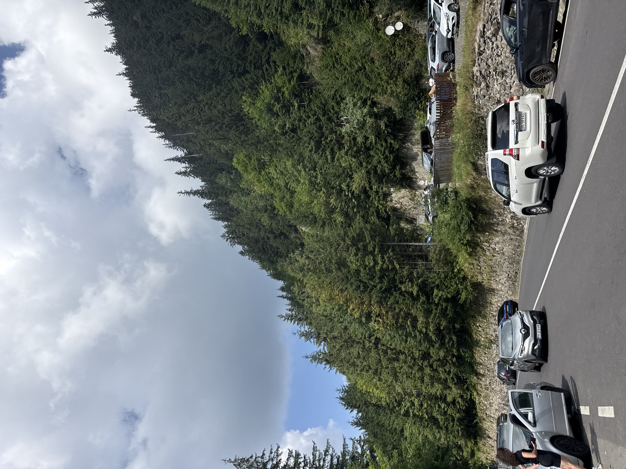 This is a daylight, eye-level, medium shot of a mountain road with cars parked on the side, located near Cârțișoara, Romania, at the base of a densely forested mountainside. The road is asphalt, with white lane markings visible. On the right side of the road, a stone wall lines the base of the mountain, which is covered in evergreen trees. Several cars are parked on the shoulder and in a designated parking area behind a wooden fence. Among the vehicles visible are a white SUV, a silver sedan with its driver's side door open, a dark sedan, and other cars partially obscured. A woman in a black dress is standing next to the silver sedan, holding an object. The sky is partly cloudy with a mix of white and grey clouds.