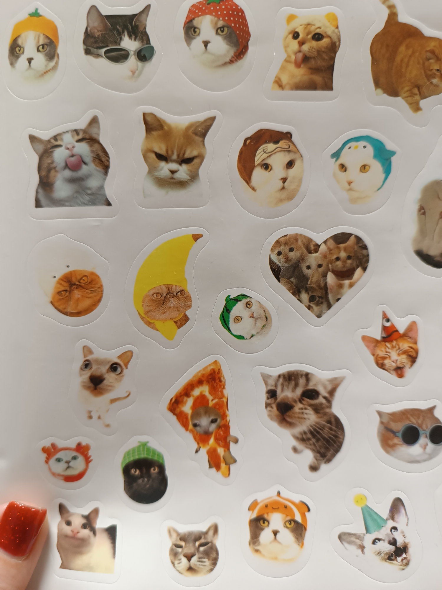 The image is a close-up of a sheet of cat stickers. The stickers feature images of cats in various costumes and scenarios, including hats, sunglasses, and food-themed outfits. There is a hand with a red glittery nail visible on the left side of the image. The location is not discernible from the image.