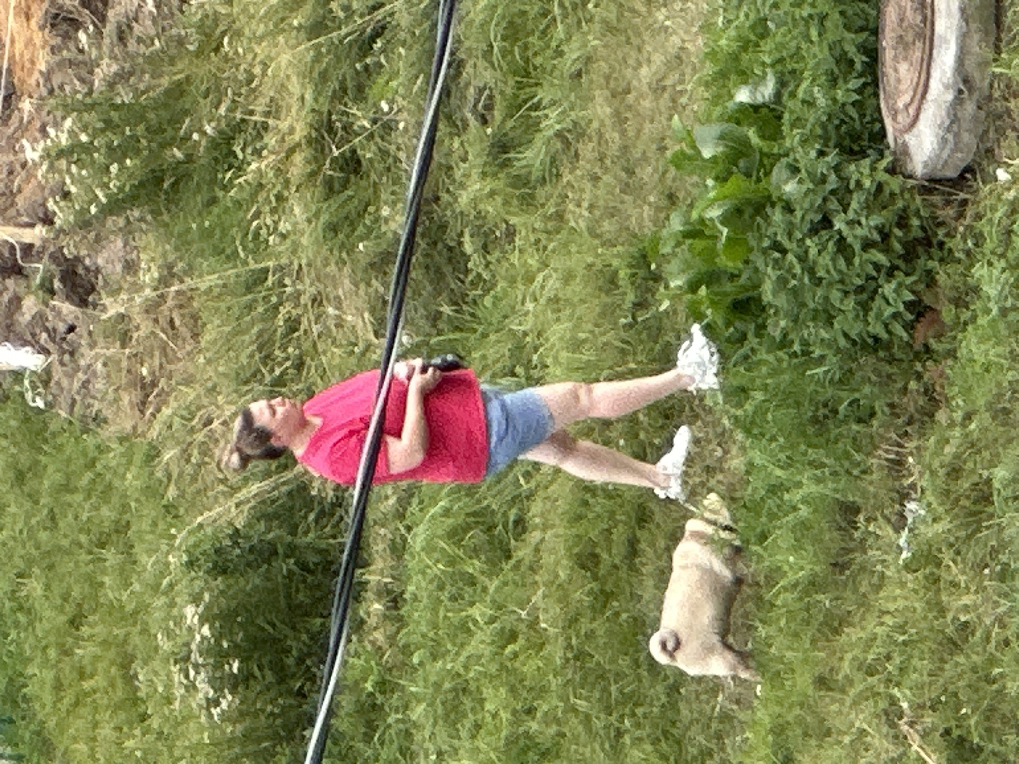 A woman in a pink t-shirt and denim shorts walks with a pug in a grassy area. The woman has her hair in a bun and is wearing white sneakers. The pug is light brown and appears to be sniffing the ground. The environment is overgrown with grass and some larger green plants are visible. A power line runs horizontally across the image. A manhole cover is visible in the lower right corner of the image. The image is grainy and appears to be taken from a distance. There is no clear indication of the location being Podolsk, Russia.
