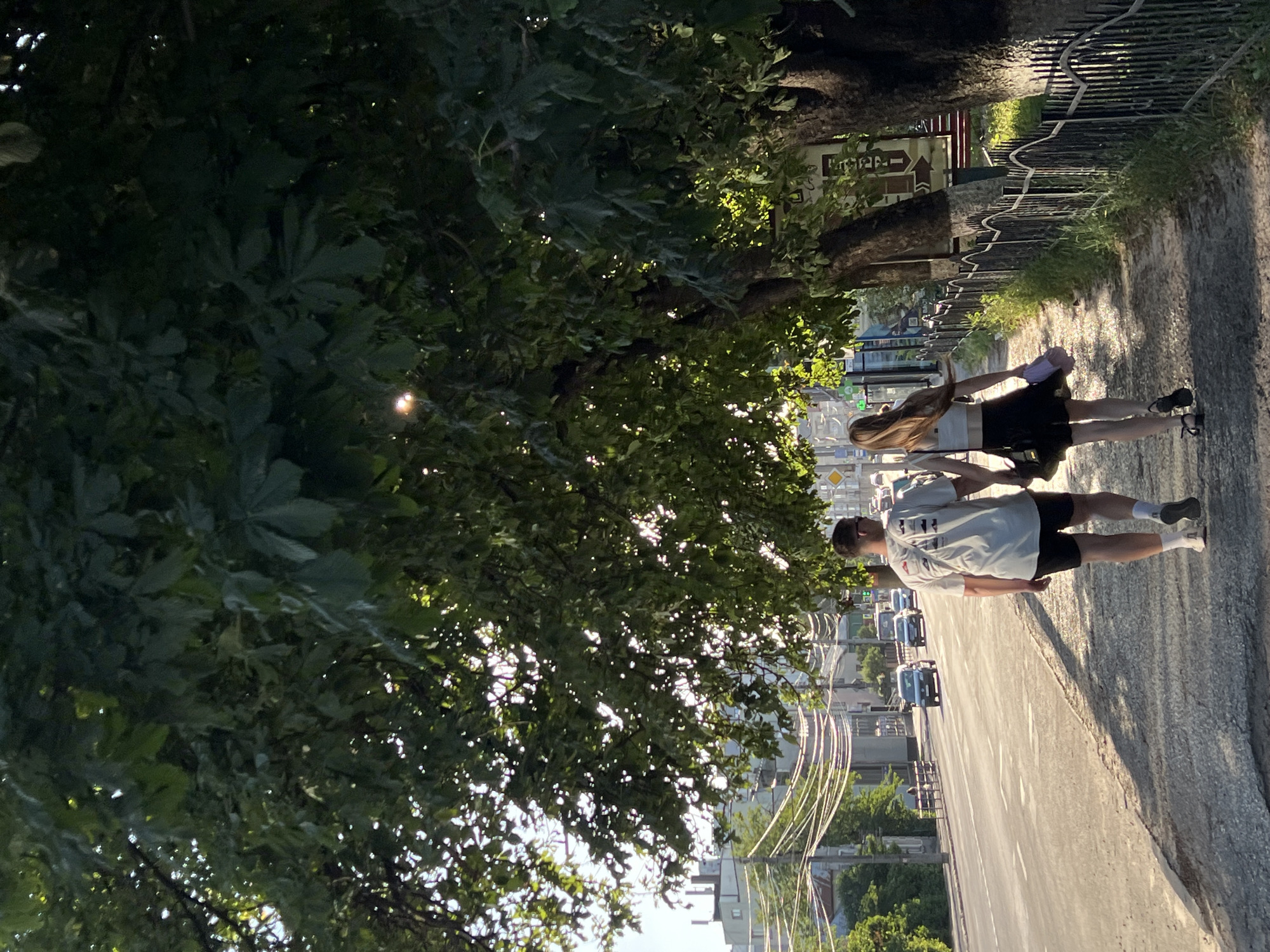In Ternopil, Ukraine, two individuals are captured walking along a tree-lined sidewalk next to a road with traffic. The image is oriented vertically, making it appear as if the people are walking on a wall. A lush green tree with dappled sunlight filtering through its leaves dominates the left side of the frame, casting shadows on the sidewalk.
The subjects, a woman and a man, are walking away from the camera. The woman, on the left, has long blonde hair and is wearing a white top and a dark skirt. She carries a light purple bag. The man, on the right, is wearing a light-colored t-shirt with a graphic print and dark shorts, white socks, and dark shoes. He appears to be carrying something in his right hand, which is not clearly visible.
The setting suggests a suburban or semi-urban environment. A metal fence separates the sidewalk from a grassy area, behind which is a street with cars. Overhead power lines and utility poles are visible stretching along the road, indicating an urban infrastructure. The sun is low in the sky, casting long shadows and creating a warm, golden light, suggesting it is either early morning or late afternoon. The weather appears to be clear and pleasant.
There is no discernible text visible in the image. The overall mood of the scene is relaxed and casual, depicting a peaceful walk on a sunny day.