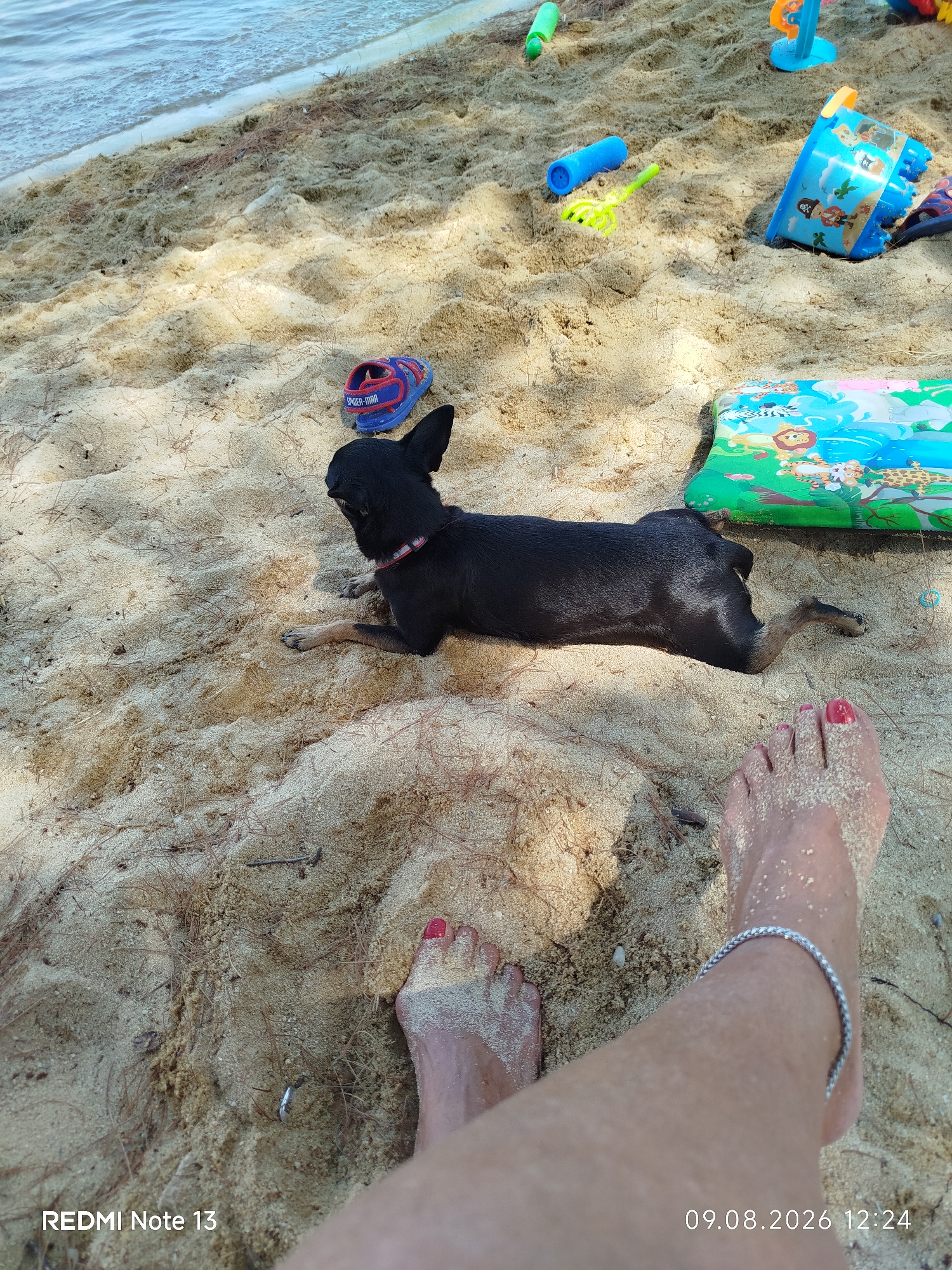 The image shows a black dog lying on a sandy beach, with a person's feet in the foreground. The dog is wearing a red collar. Several beach toys, including a blue bucket and a green cylindrical toy, are scattered on the sand. In the background, the blue water of the sea is visible. The scene appears to be a casual day at the beach. The timestamp on the image indicates the date as 09.08.2026 and the time as 12:24. The text "REDMI Note 13" is also present in the lower left corner.