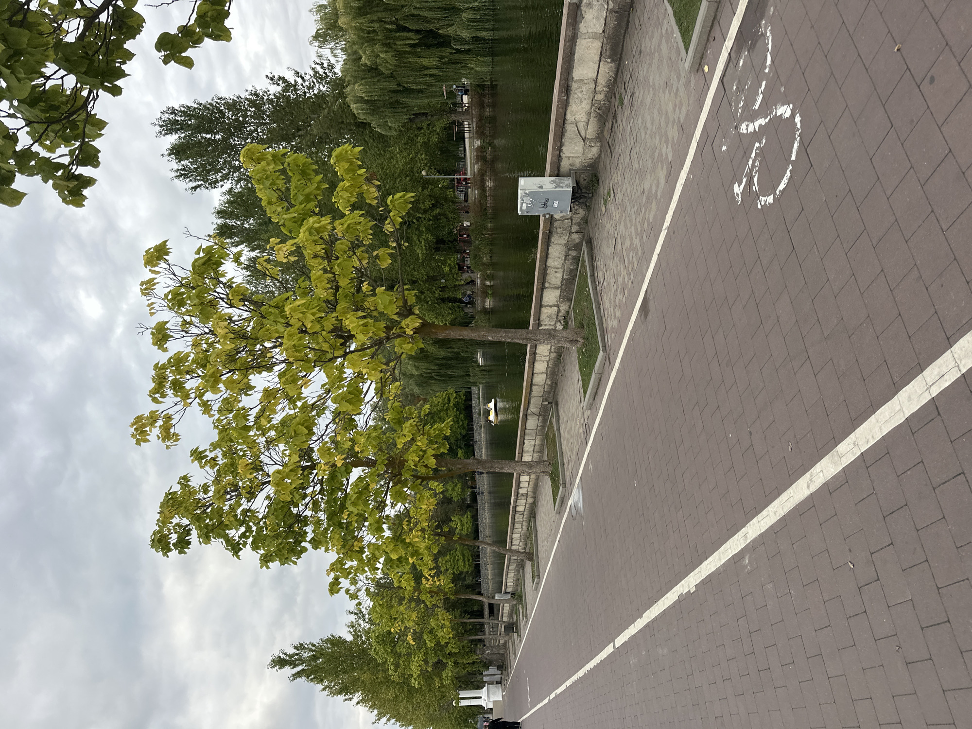 The image depicts a paved walkway alongside a body of water, likely a lake or river, in Ternopil, Ukraine. The walkway is constructed of reddish-brown bricks and is marked with a white line delineating lanes. A white symbol indicating a bicycle path is painted on the pavement. Several trees with vibrant green and yellow leaves line the walkway, suggesting it is autumn. The water is calm, with a yellow paddle boat visible in the distance. A stone embankment separates the walkway from the water, and beyond that, more trees and some structures can be seen. The sky is overcast with gray clouds. One person is walking on the left side of the walkway.