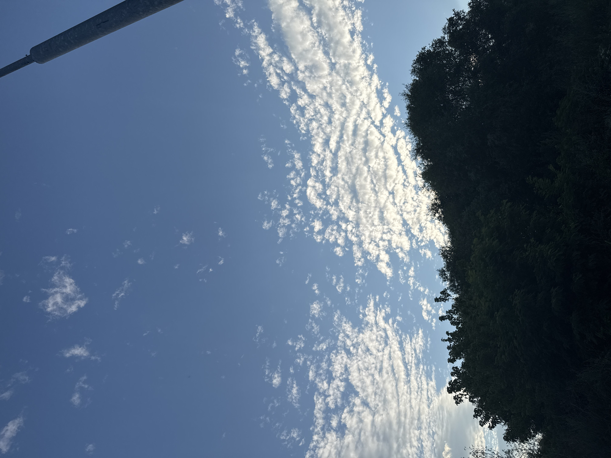 The image shows a clear blue sky with scattered, wispy white clouds. In the foreground, the silhouette of a dense line of trees stretches across the bottom of the frame. A tall, dark, cylindrical pole, possibly a lamppost, is visible in the upper right corner, angled towards the top edge. The scene appears to be an outdoor environment in Pernik, Bulgaria, possibly on the outskirts of the city, given the presence of trees and open sky. There are no people or animals visible in the image. The lighting suggests it is daytime, likely during the morning or late afternoon, due to the contrast between the bright sky and the silhouetted foliage.
