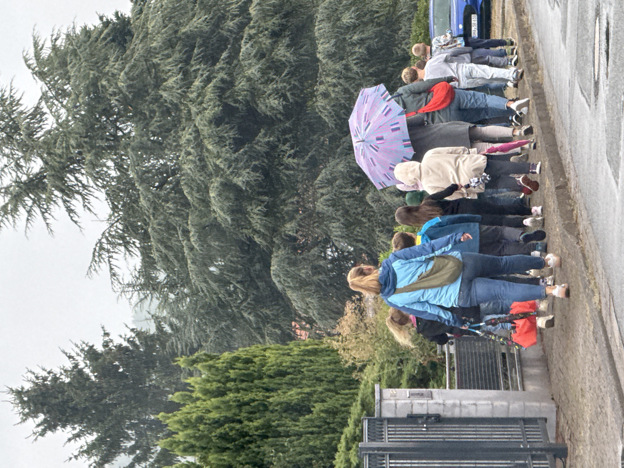In Bad Sachsa, Germany, on a cloudy day, a group of people are walking on a sidewalk alongside a road. A woman in a blue jacket and jeans leads the group, carrying a green bag over her shoulder and a red tote bag in her right hand. Behind her, a person in a grey coat holds a purple and pink patterned umbrella over themselves and a child. Several children and adults follow, some also holding umbrellas. The group is walking past a metal fence and a building on the left. In the background, large evergreen trees dominate the landscape. A blue car is parked on the right side of the road. The road appears wet, suggesting recent rain.