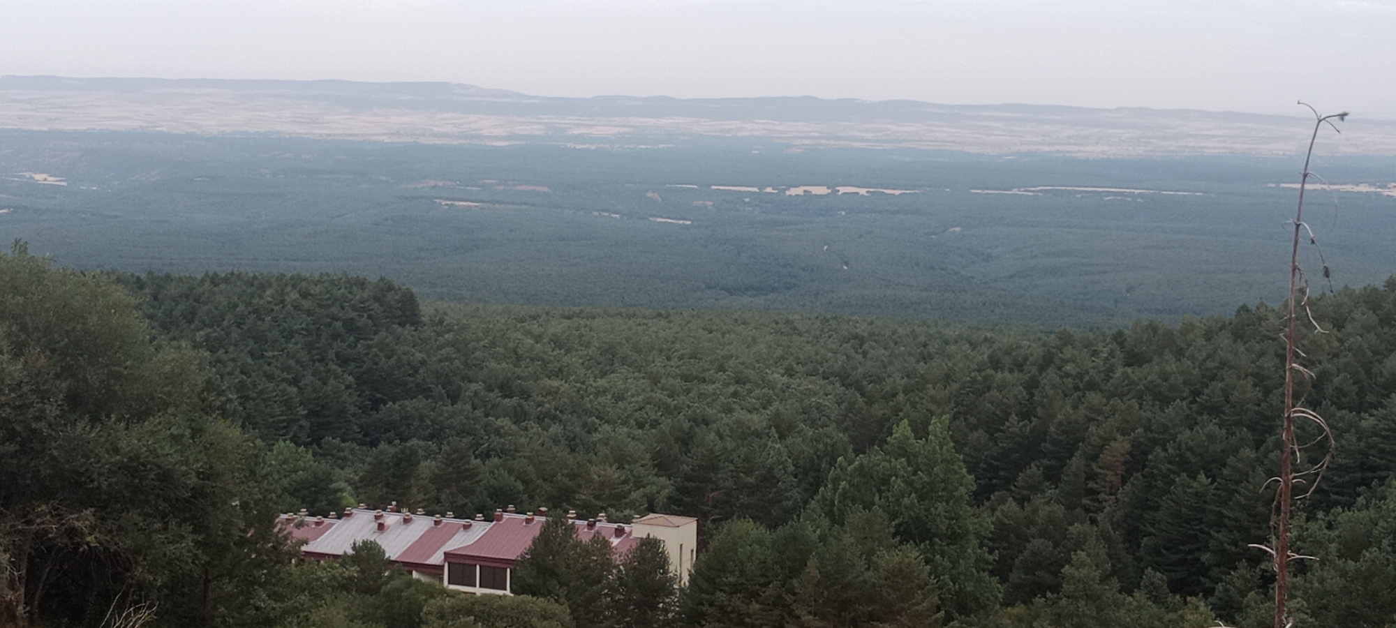 This is a high-angle, medium shot of a vast, dense forest covering rolling hills. In the foreground, a building with a red and white striped roof, featuring multiple chimneys, is partially obscured by trees. A single, bare, dead tree trunk stands tall on the right side of the frame. In the background, the forest continues, merging into a hazy, distant landscape of plains and low hills under an overcast sky. The scene appears to be in a rural, possibly mountainous area. Based on the provided context, the location is Cerezo de Arriba, Spain. There are no people or animals visible in the image.