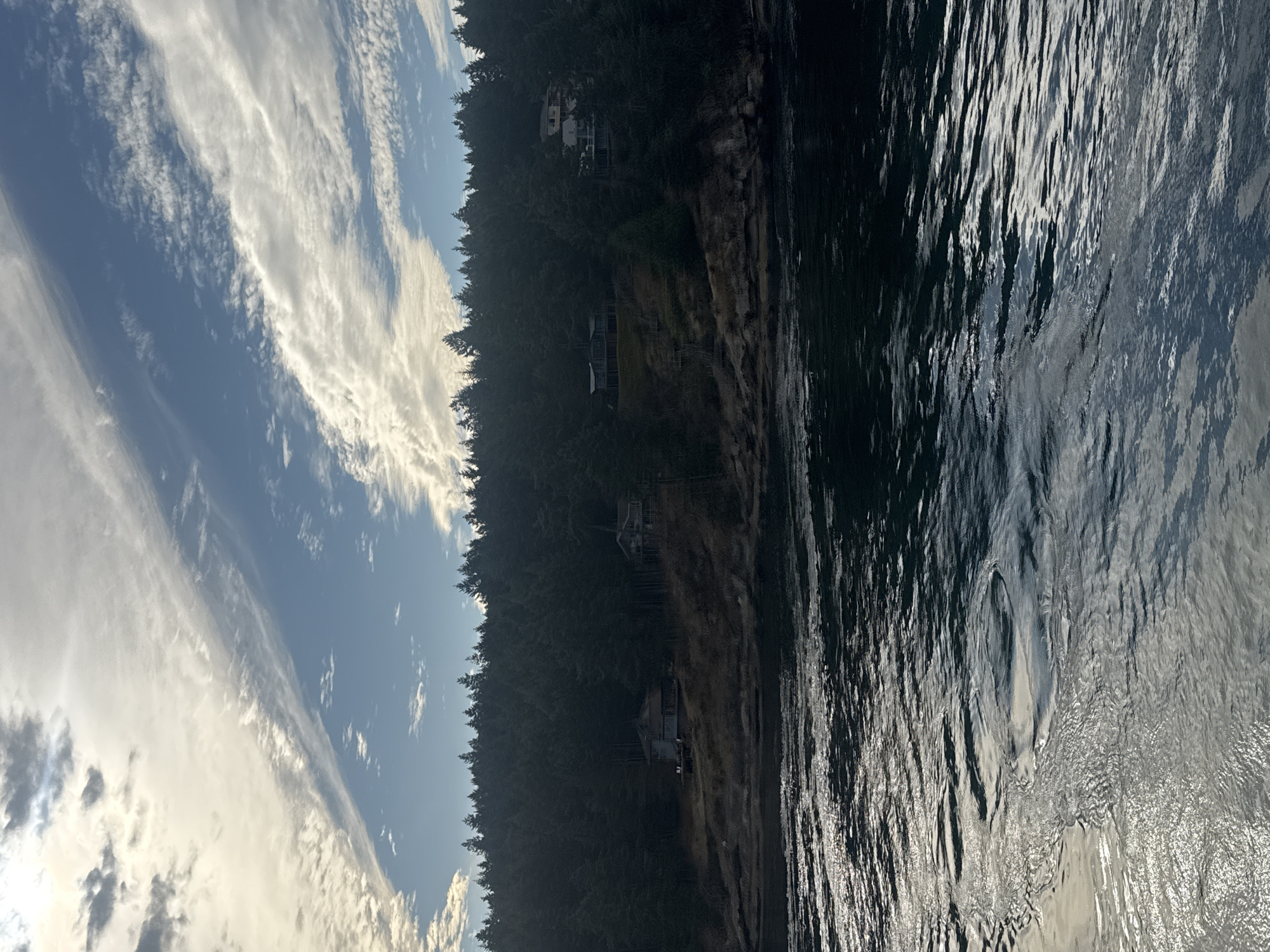 A body of dark, rippling water occupies the foreground, reflecting the sky and surrounding environment. The water exhibits a textured surface with light glinting off its waves, suggesting movement. In the midground, a densely forested hillside rises steeply. The trees are predominantly evergreen and appear to be mature, creating a thick canopy that obscures much of the land. Nestled within the trees and on the slope are several houses, some appearing older and more rustic, while others seem to be more substantial residences. These structures are partially visible, their presence indicated by rooftops and glimpses of their architecture through the foliage. The hillside itself shows some exposed rock formations near the water's edge. The background is dominated by a wide expanse of sky. The sky features a dynamic cloudscape with streaks of white and gray clouds stretching across a blue backdrop, indicating a partly cloudy or overcast day. The overall scene suggests a coastal or lakeside setting with residences integrated into a natural, wooded environment. The location is identified as Southern Gulf Islands Electoral Area, Canada.