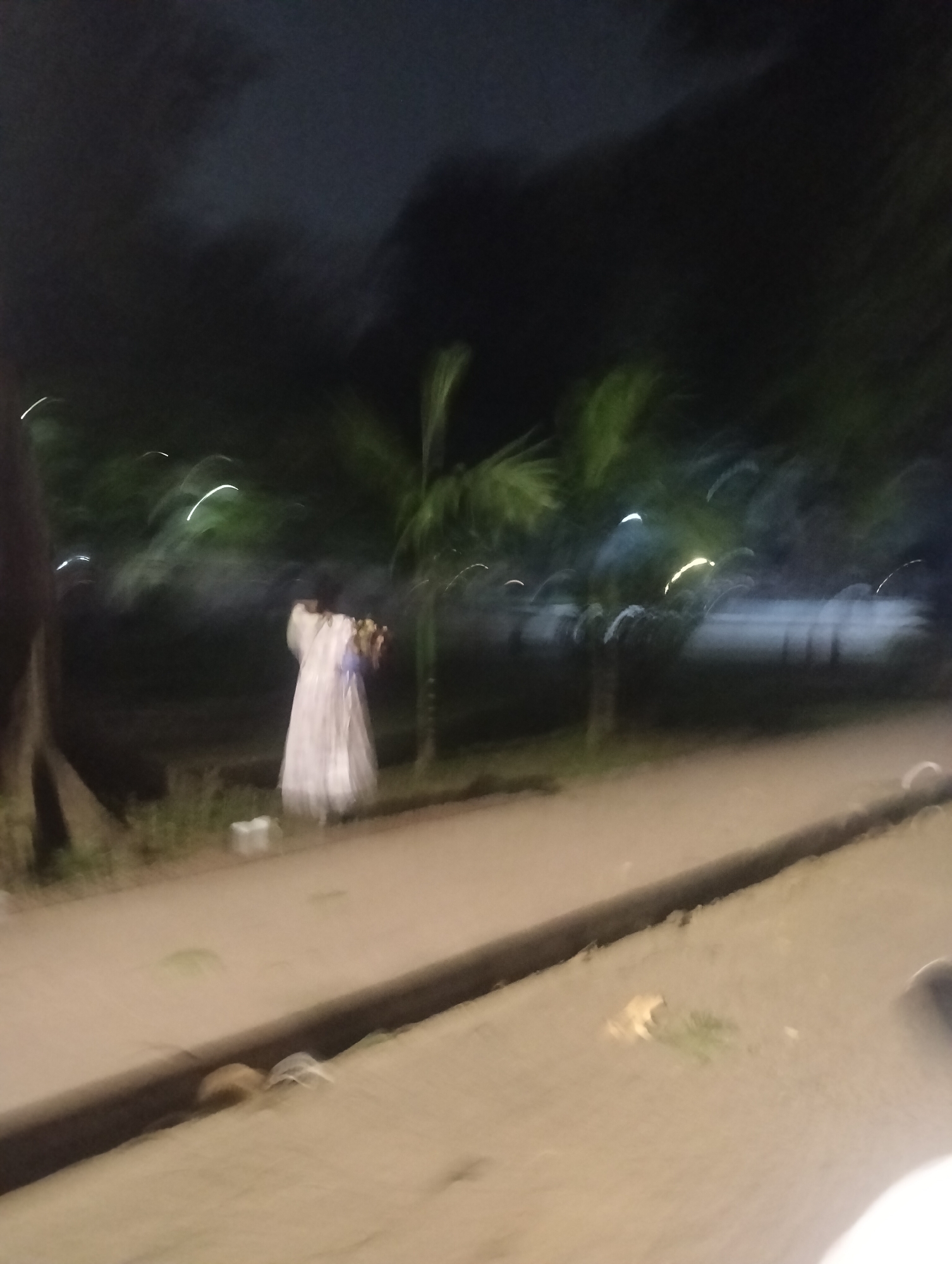 The image appears to be taken at night, possibly in Dhaka, Bangladesh, though confirmation requires additional information. A person in a light-colored robe-like garment is standing on a path near what seems to be a small palm tree and some other vegetation. The person is holding something, possibly flowers. The background is dark, with blurred lights and what appear to be trees. The path has a concrete border. There is a small animal or object near the border of the path. The image is blurry, suggesting movement during the capture.