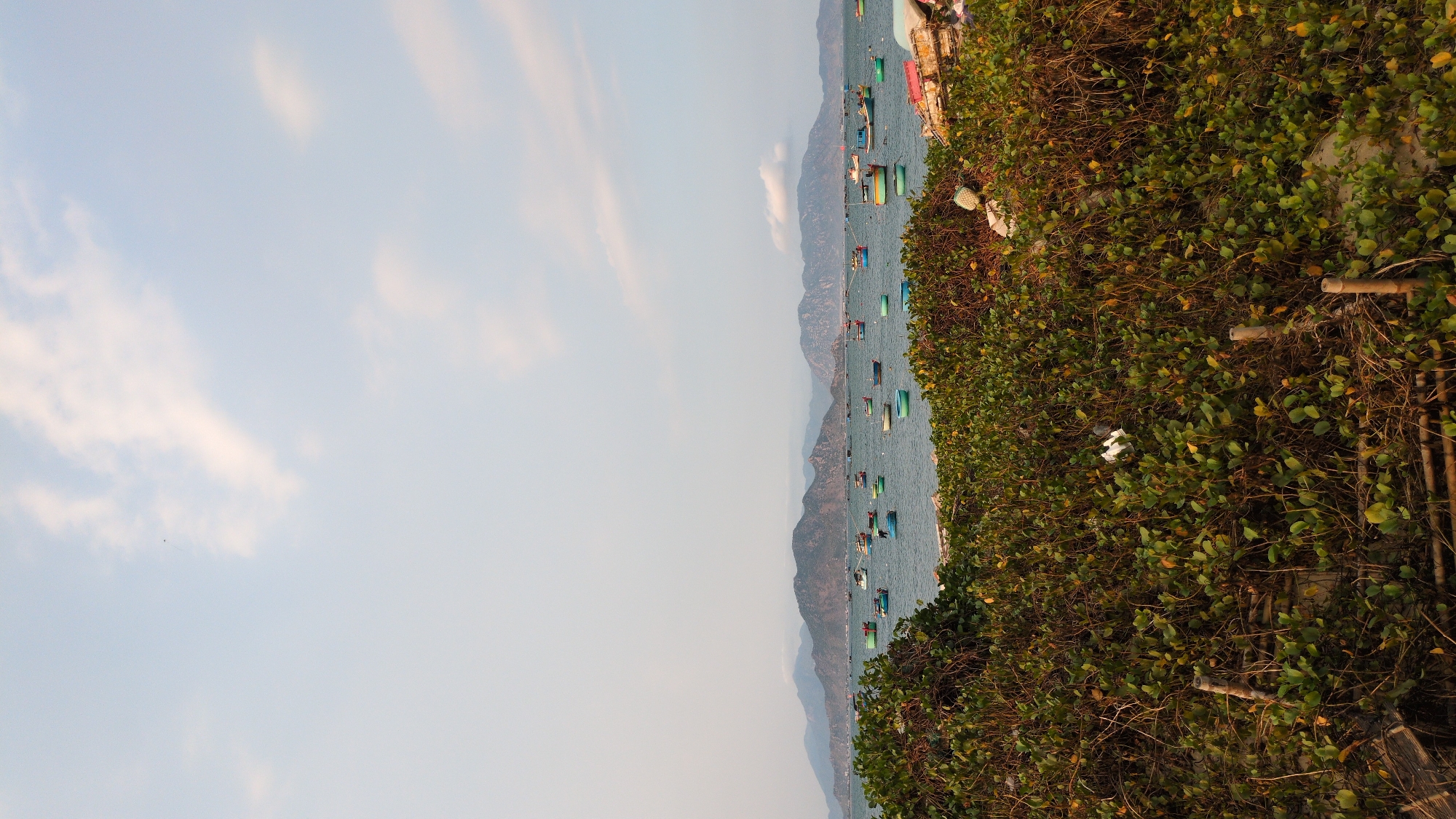 The image shows a coastal scene with a body of water occupied by numerous small boats. Mountains are visible in the distance. On the right side, there is dense vegetation, and a cloudy sky occupies the left side. The location is likely Phan Rang – Tháp Chàm, Vietnam.