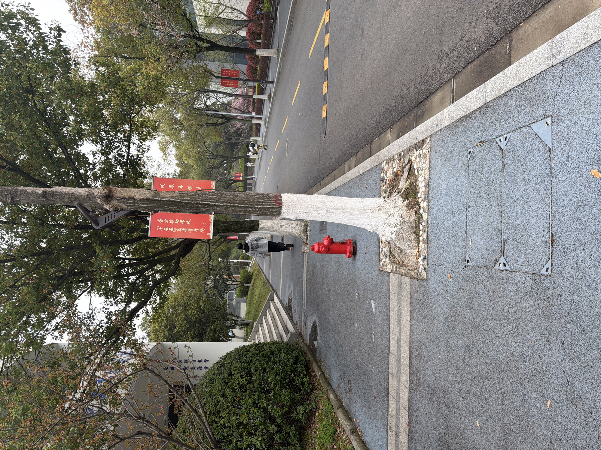 The image depicts a street scene in Jiangning District, China. A person walks on the sidewalk, passing by a red fire hydrant next to a tree with a whitewashed base. Red banners with Chinese characters are affixed to the tree. The street is paved with asphalt and has yellow markings. The sidewalk is gray, with some sections featuring embedded small pebbles. A building and greenery are visible on the left side of the sidewalk.