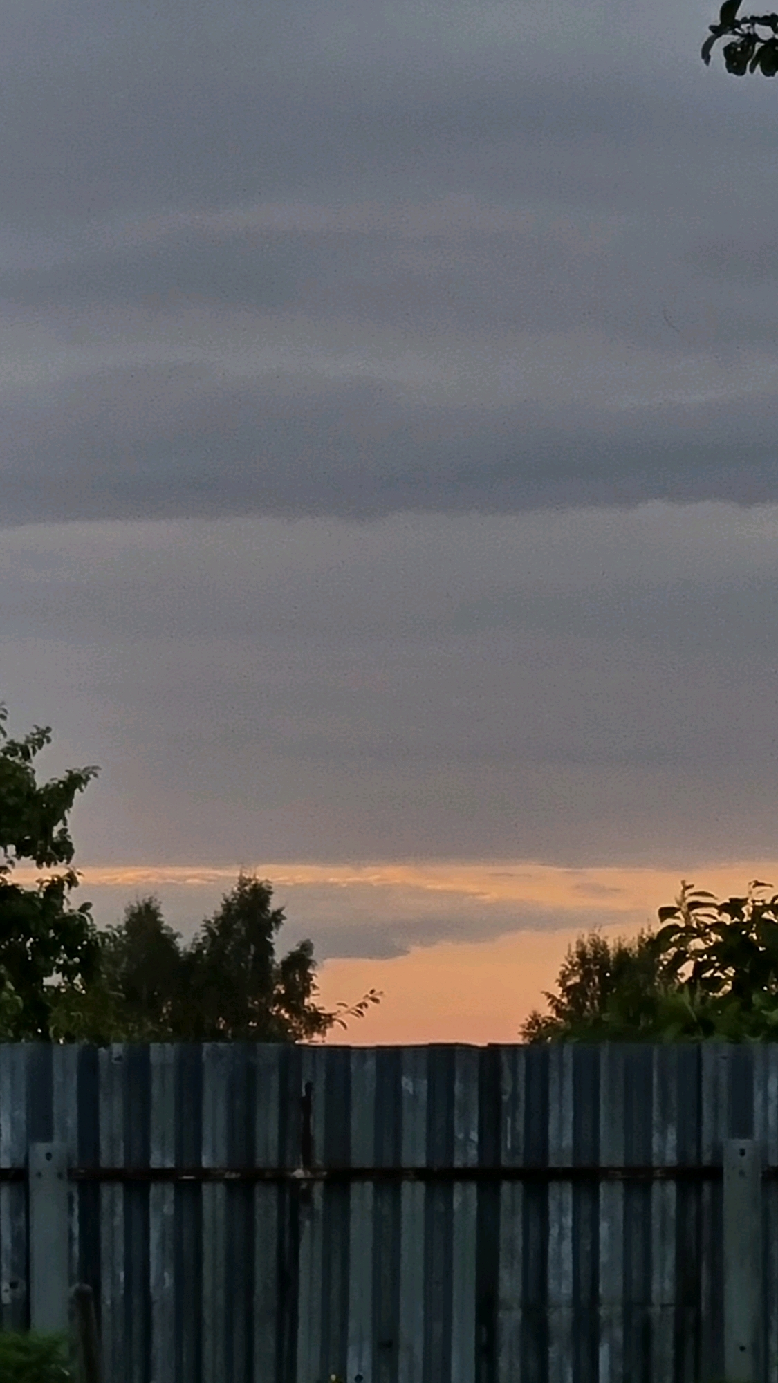The image depicts a cloudy sky with hues of orange and gray. The horizon is visible, with silhouetted trees and a corrugated metal fence in the foreground. The fence appears weathered and has vertical corrugated panels. The overall scene suggests an outdoor setting, possibly a backyard or a rural area. There are no people or animals visible in the image. The location is identified as Vysokoe, Russia, but no specific landmarks or context are provided to confirm this.