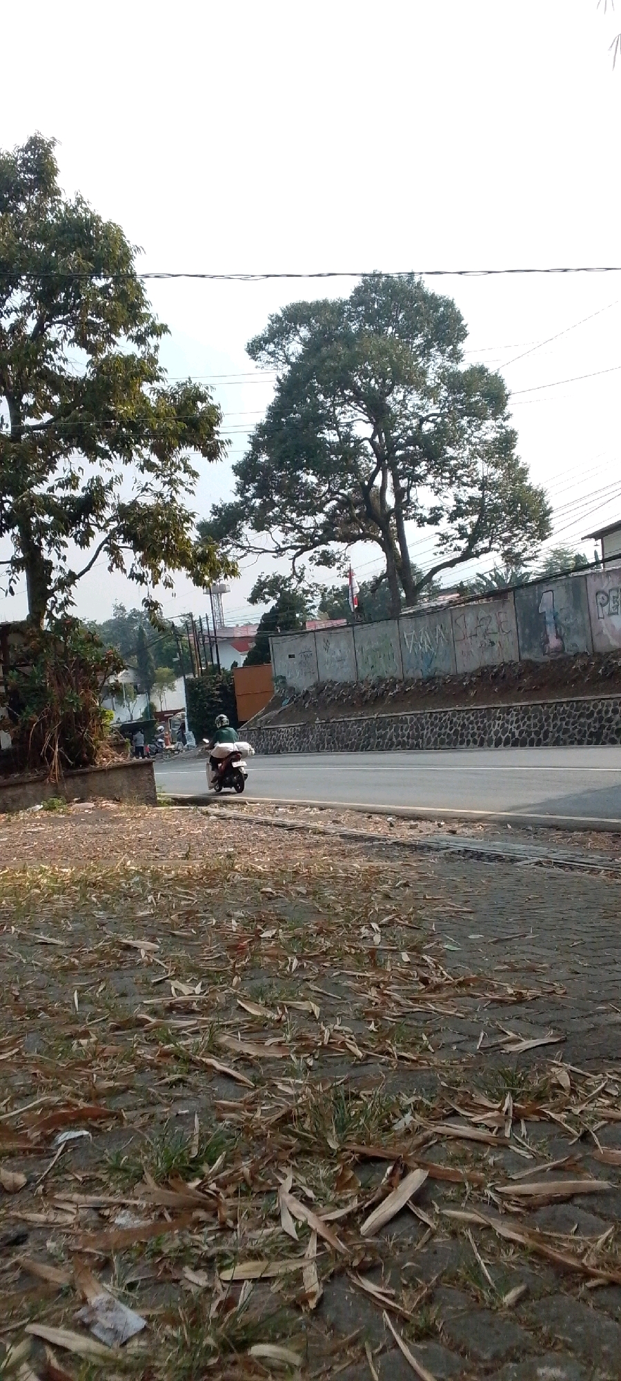 The image depicts a street scene in Cilaku, Indonesia, with a focus on a motorcycle rider on a paved road. A person wearing a green jacket and a helmet is riding a white scooter. The scooter is carrying a light-colored package on the back. The road is bordered by a textured stone wall on the right, which has graffiti on it. In the background, there are trees, buildings, and power lines, and the sky is bright and overcast. The foreground of the image shows a ground covered with dry leaves and sparse green grass, indicative of an outdoor environment.