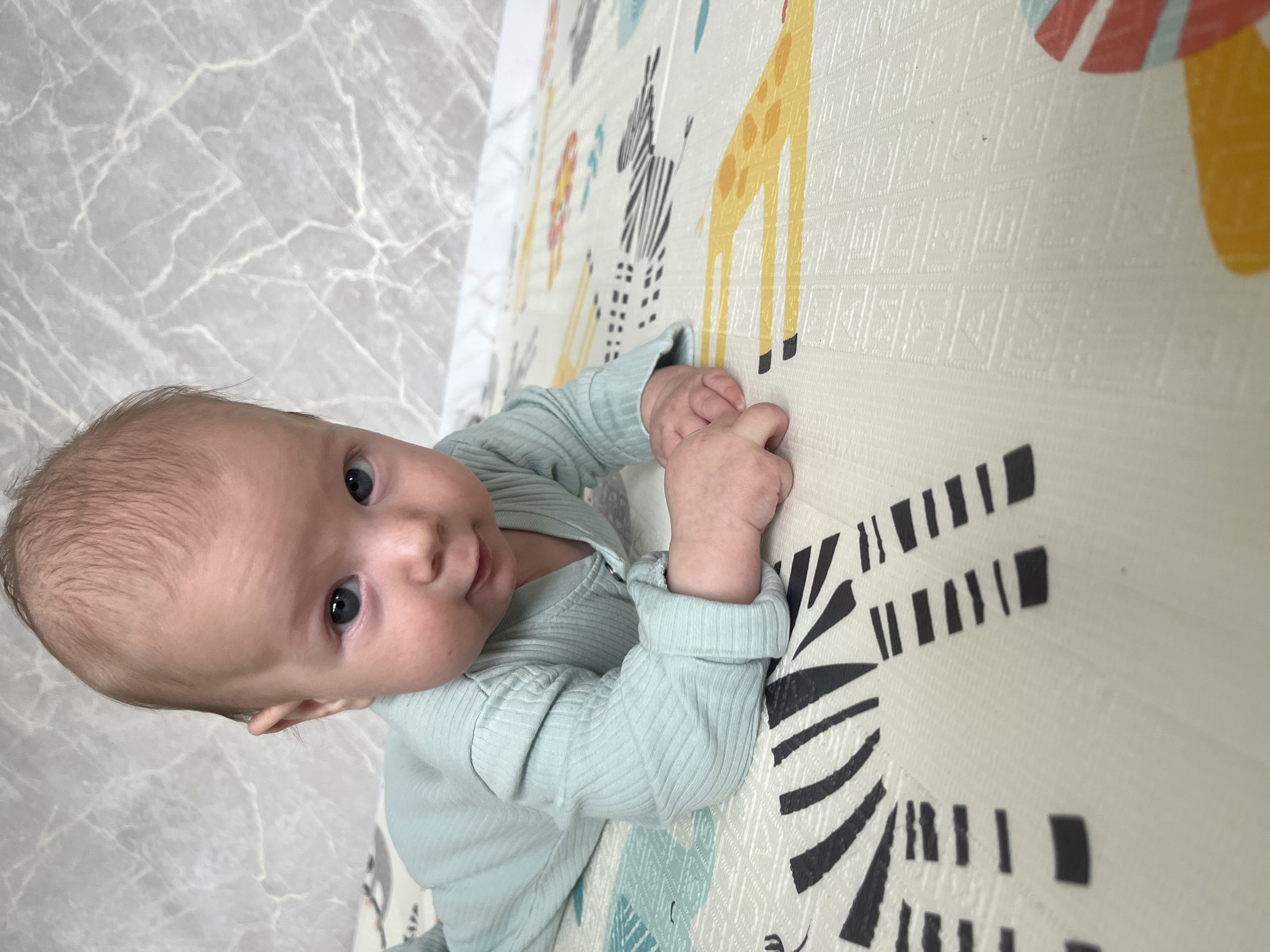 A baby lies on its stomach on a playmat. The baby is wearing a light blue, ribbed long-sleeved onesie. Its hands are resting on the mat in front of it. The playmat has a pattern of stylized zoo animals, including zebras and giraffes. The background is a light gray marbled surface. The scene is indoors.