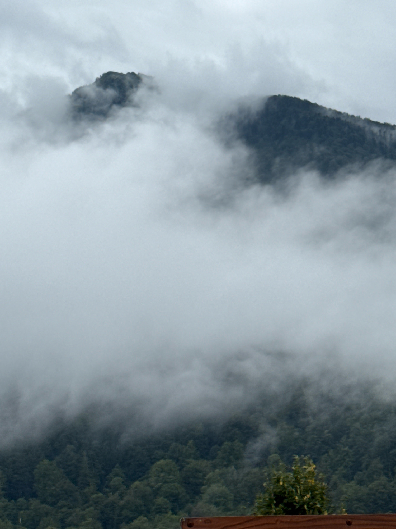 The image depicts a mountain range shrouded in thick, grey clouds, suggesting a cool, possibly foggy or overcast day. The peaks of the mountains are dark green, indicating dense forestation. In the foreground, a cluster of green foliage, possibly a bush or small tree, stands out against the muted tones of the landscape. Part of a wooden structure, likely a fence or railing, is visible at the very bottom of the image, suggesting a viewpoint or edge of a property. The scene is devoid of human presence or any discernible activity. The overall atmosphere is one of natural, rugged beauty, characteristic of mountainous terrain.