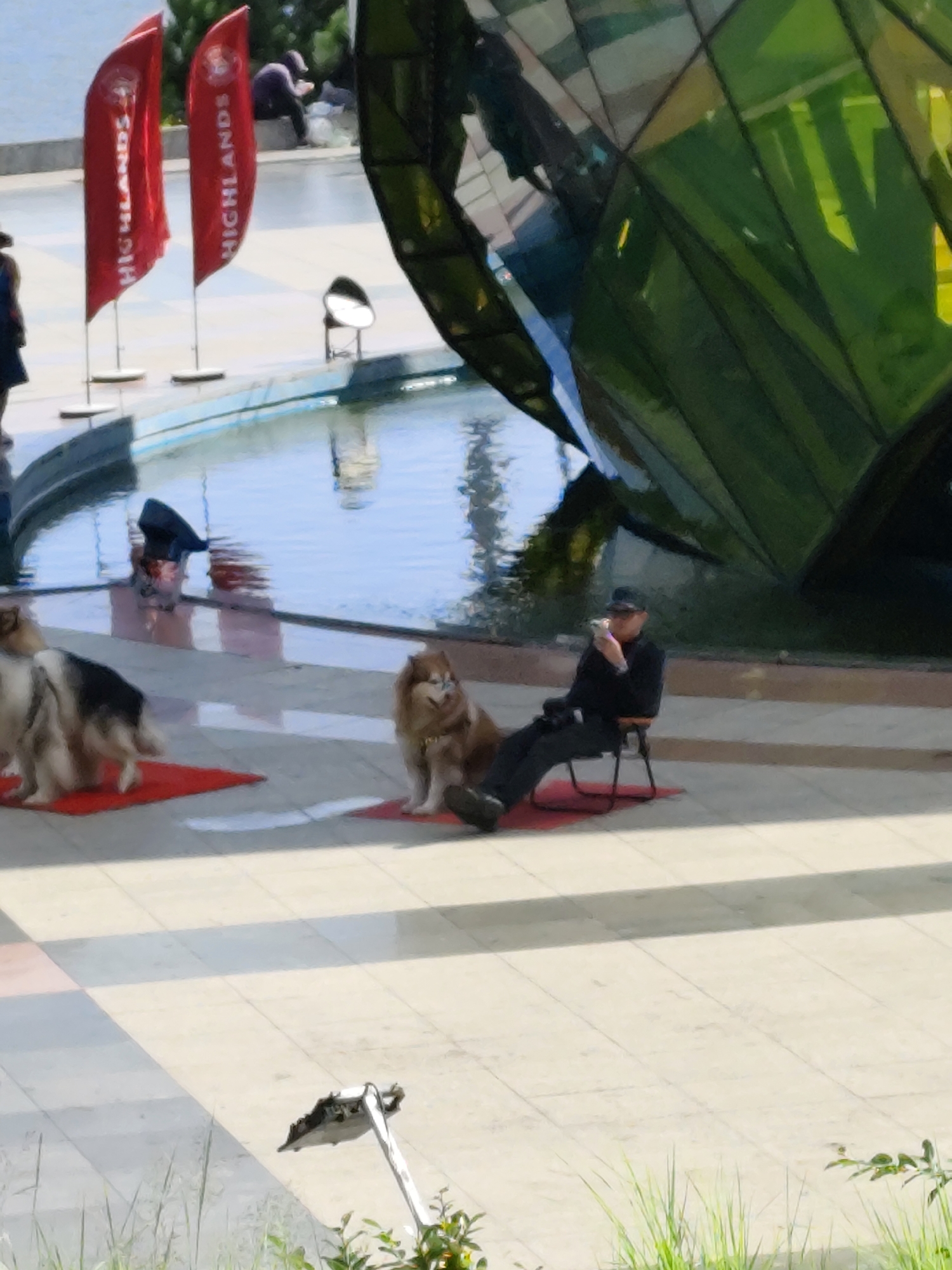 In the city of Da Lat, Vietnam, a man in a dark uniform and cap sits on a folding chair, holding a mobile phone, beside a reflective, multifaceted green structure. Two dogs are present: a brown dog with a white chest sits on a red mat in the foreground, and another dog, partially visible and light-colored with dark patches, stands on a red mat behind it. In the background, two red flags with "HIGHLANDS" text are displayed on poles, and a person in dark clothing sits near a body of water. The scene unfolds on a paved plaza adjacent to a body of water.