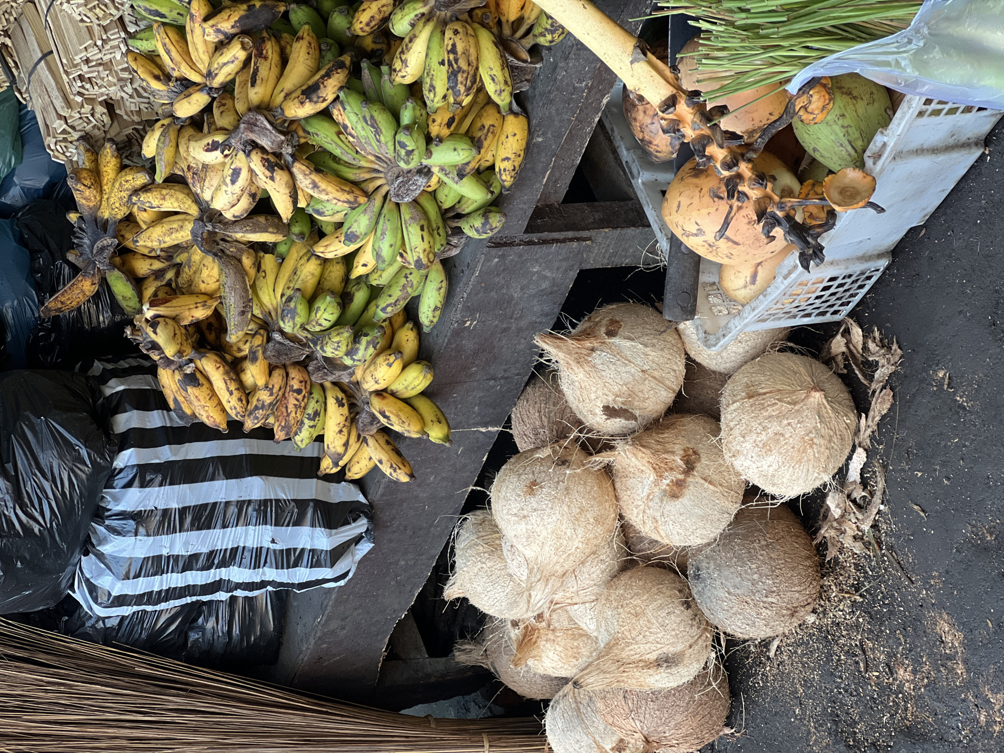 The image depicts a scene likely in a market in the Ubud District of Indonesia. Bunches of ripe bananas, some showing signs of bruising, are piled on a dark wooden surface alongside several coconuts with their husks intact. Some coconuts are piled directly on the ground or on a dark surface. A white plastic crate contains more coconuts and some green stalks, possibly lemongrass. A black and white striped bag, along with a black plastic bag, and a broom made of thin twigs are also present.