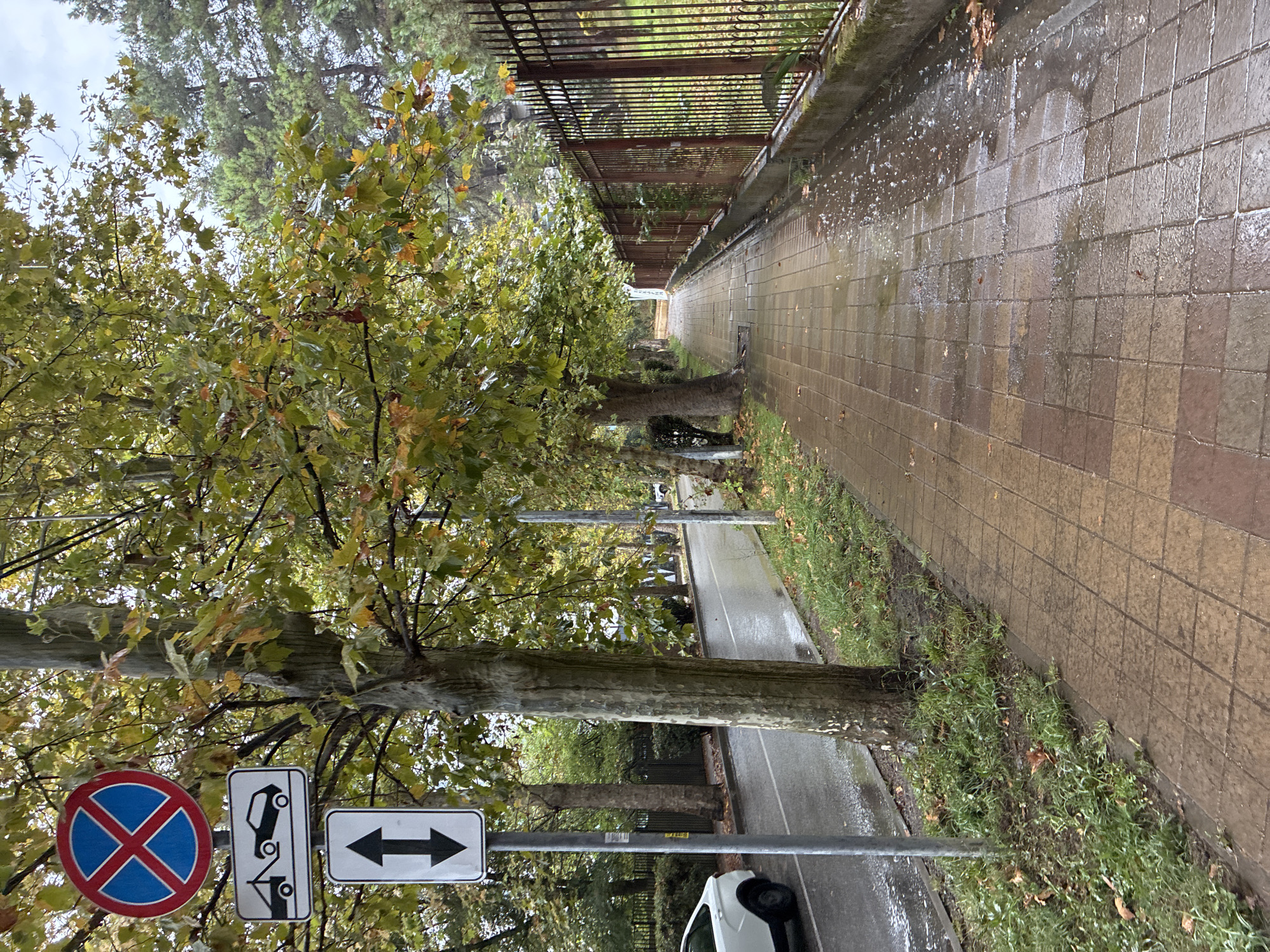 The image depicts a street scene in Sochi, Russia, on an overcast day, likely in autumn, given the changing leaf colors on the trees. The focus is on a wet, tiled sidewalk that runs along a road. To the left of the sidewalk, there is a grassy verge and several trees with green and yellow leaves. In the background, a dark metal fence runs parallel to the sidewalk. A white car is parked on the wet road. Several traffic signs are visible on a pole near the sidewalk, including a no stopping sign, a towing sign, and a directional sign with up and down arrows. The overall atmosphere is one of a quiet, possibly damp, urban environment.