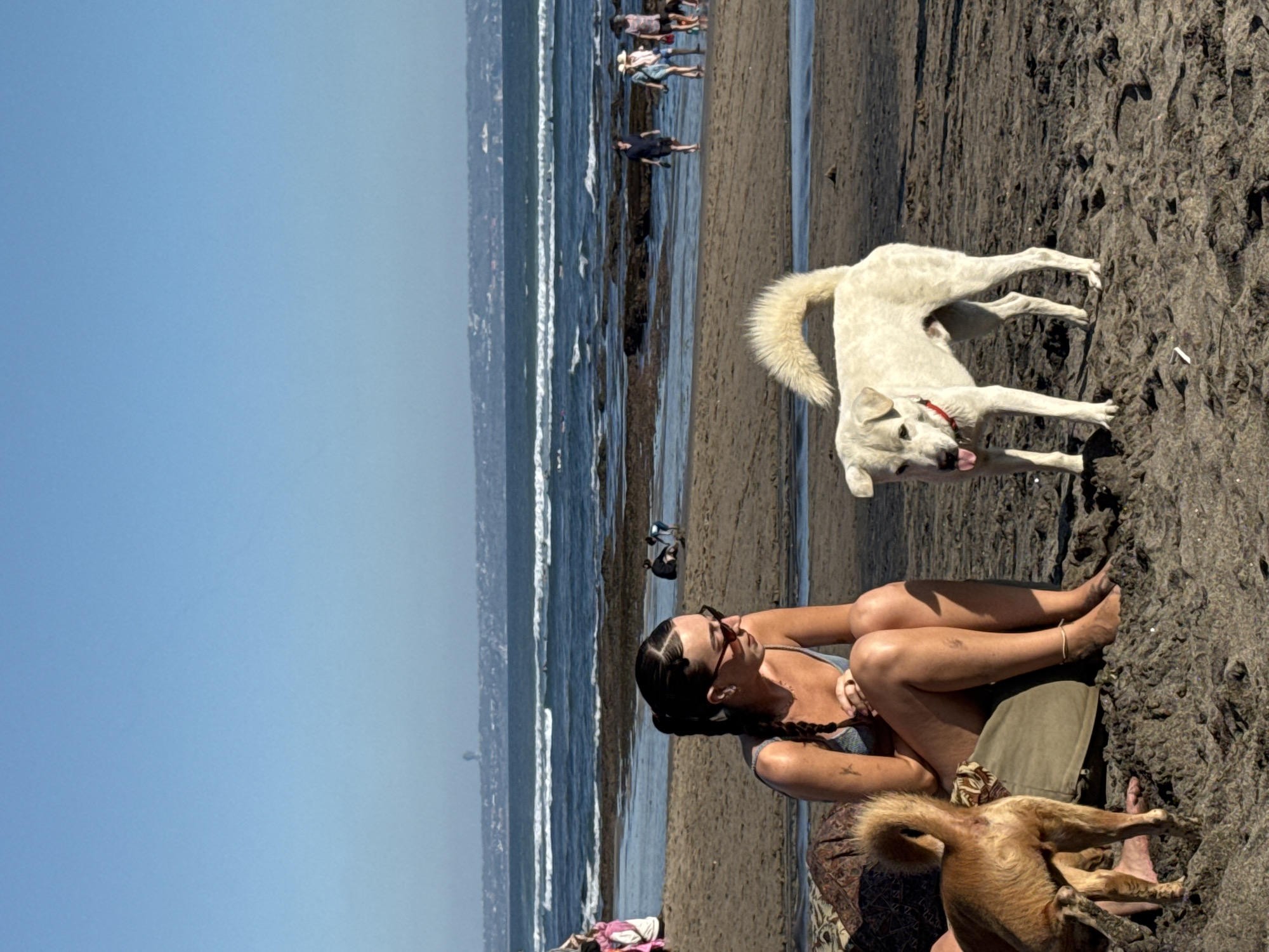 In North Kuta, Indonesia, on a beach, a woman with dark hair styled in braids sits on the sand. She is wearing sunglasses and a blue bikini top. Two dogs are near her. One dog, a lighter color, stands facing away from the camera with its tail raised and tongue out. Another, darker-colored dog is partially visible in the foreground, also facing away from the camera. In the background, the ocean has waves, and a distant coastline is visible. Several people are walking along the water's edge and further down the beach. The sky is clear and blue.