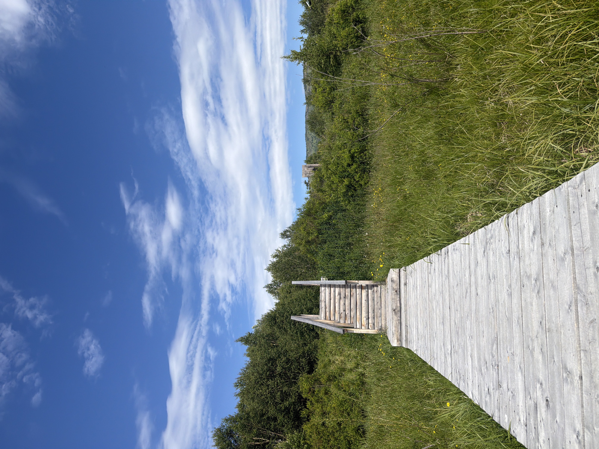 The image depicts a wooden boardwalk leading through a grassy meadow towards a wooden staircase. The stairs ascend into a densely wooded area with a bright blue sky and scattered white clouds above. In the distance, a structure resembling a wooden tower or ruin can be seen amidst the trees. The scene appears to be in a natural, outdoor setting, likely a park or trail. There are no people visible in the image. The location is not identified as being in the city of Esso, Russia.