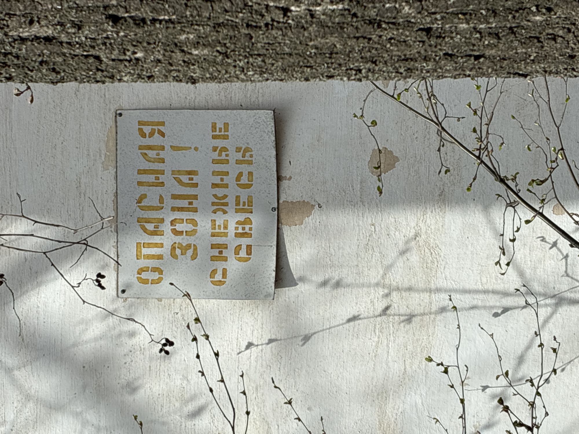The image depicts a weathered, off-white concrete wall in Chaikovsky, Russia. A warning sign, in Russian, is affixed to the wall. Branches, some with sprouting leaves, partially obscure the wall and sign. The sign, also off-white, features yellow stenciled text. The wall shows signs of aging, with cracks and discoloration. The lighting suggests a sunny day, casting shadows of the branches onto the wall. The environment seems urban but slightly neglected.