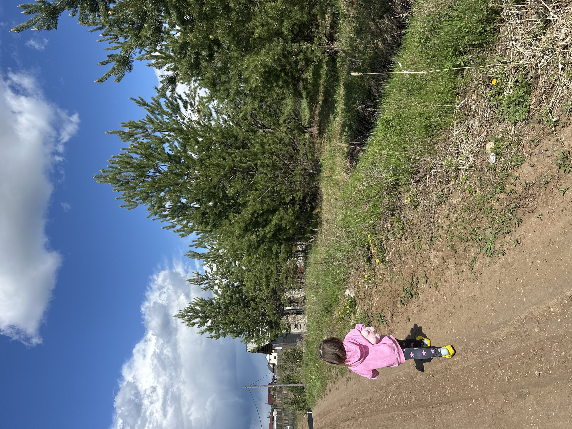 A child in a pink hooded sweatshirt and patterned leggings with yellow shoes is standing on a dirt road. The road is bordered on one side by a grassy bank and on the other by trees, some of which are coniferous. In the background are houses with red roofs. The sky is blue with white clouds. The location is the city of Kuda, Russia.