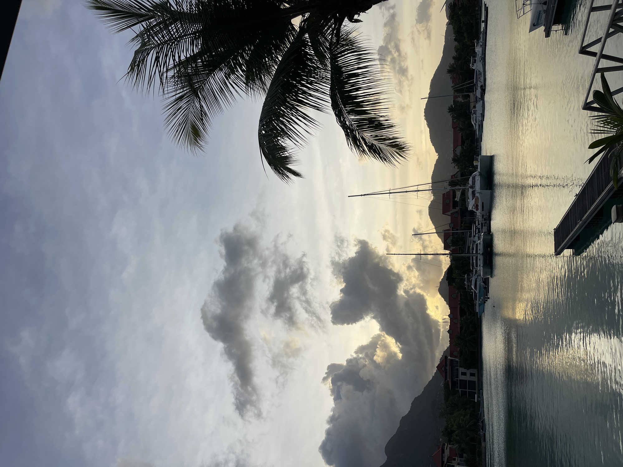 The image captures a serene marina scene in Providence, Seychelles, at dusk. The sky is filled with dramatic, textured clouds, tinged with the soft hues of sunset. In the foreground, the calm water of the marina reflects the muted light, with a wooden jetty extending into the scene from the right. Silhouetted against the sky and the water are several sailboats and yachts, moored peacefully.
Beyond the marina, the coastline features a lush green landscape, dotted with red-roofed buildings that appear to be part of a resort or residential area. The silhouettes of mountains rise in the background, further enhancing the picturesque view. A large palm tree dominates the right side of the frame, its fronds casting shadows and adding a tropical feel to the composition. The overall atmosphere is one of tranquility and natural beauty, characteristic of a tropical island evening.