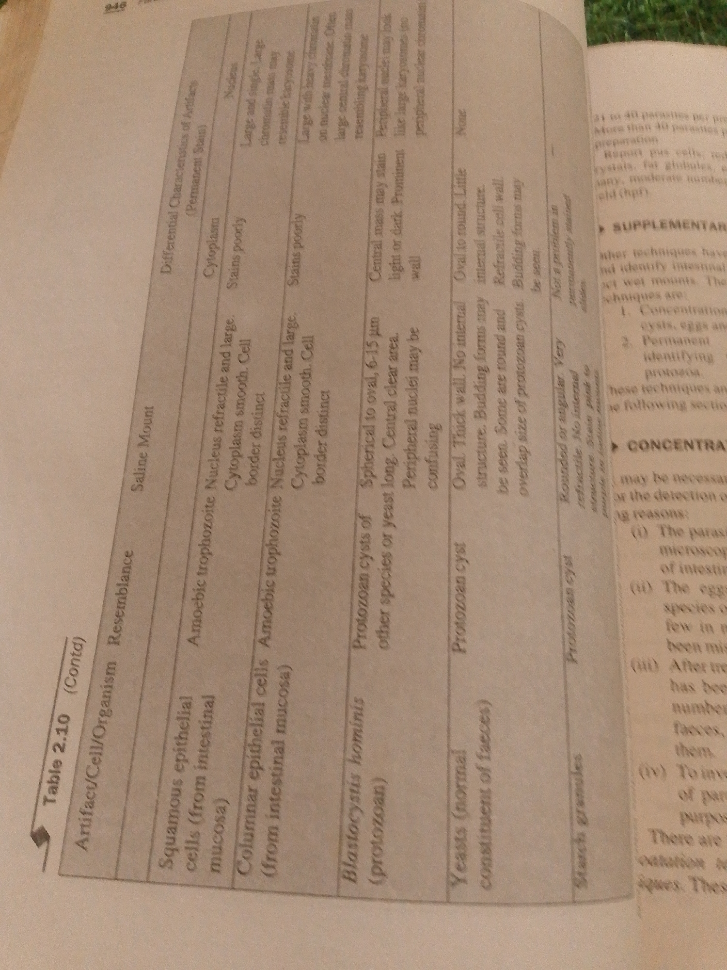 The image displays a table titled "Table 2.10 (Contd)" which details the "Differential Characteristics of Artifacts (Permanent Stain)". The table is organized into columns for "Artifact/Cell/Organism Resemblance", "Cytoplasm", and "Nucleus", and rows describing various entities such as amoebic trophozoite, protozoan cysts, yeasts, and starch granules. The table also includes a column for "Saline Mount" which provides comparative descriptions. The text appears to be from a scientific or medical textbook. The image is a photograph of a page from a book, taken from a slightly angled perspective. There is no information in the image that relates to the city of Jalingo, Nigeria, or any forensic details.