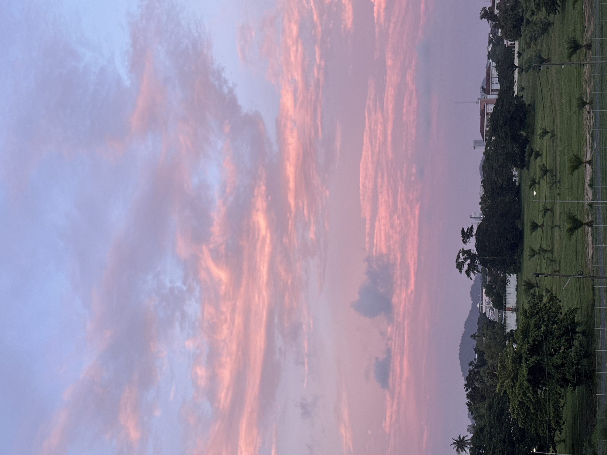 The image depicts a serene landscape at dusk, likely in the city of Wichit, Thailand. The sky is a soft gradient of pale blue and pink, adorned with wispy clouds painted in hues of cotton candy and rose. Below, a lush green field stretches out, dotted with scattered palm trees and darker, larger trees bordering the horizon. In the middle ground, several buildings, including what appears to be a large white structure with a distinctive roofline, are nestled amongst the foliage. The overall impression is one of tranquility and natural beauty, illuminated by the gentle fading light of the day.