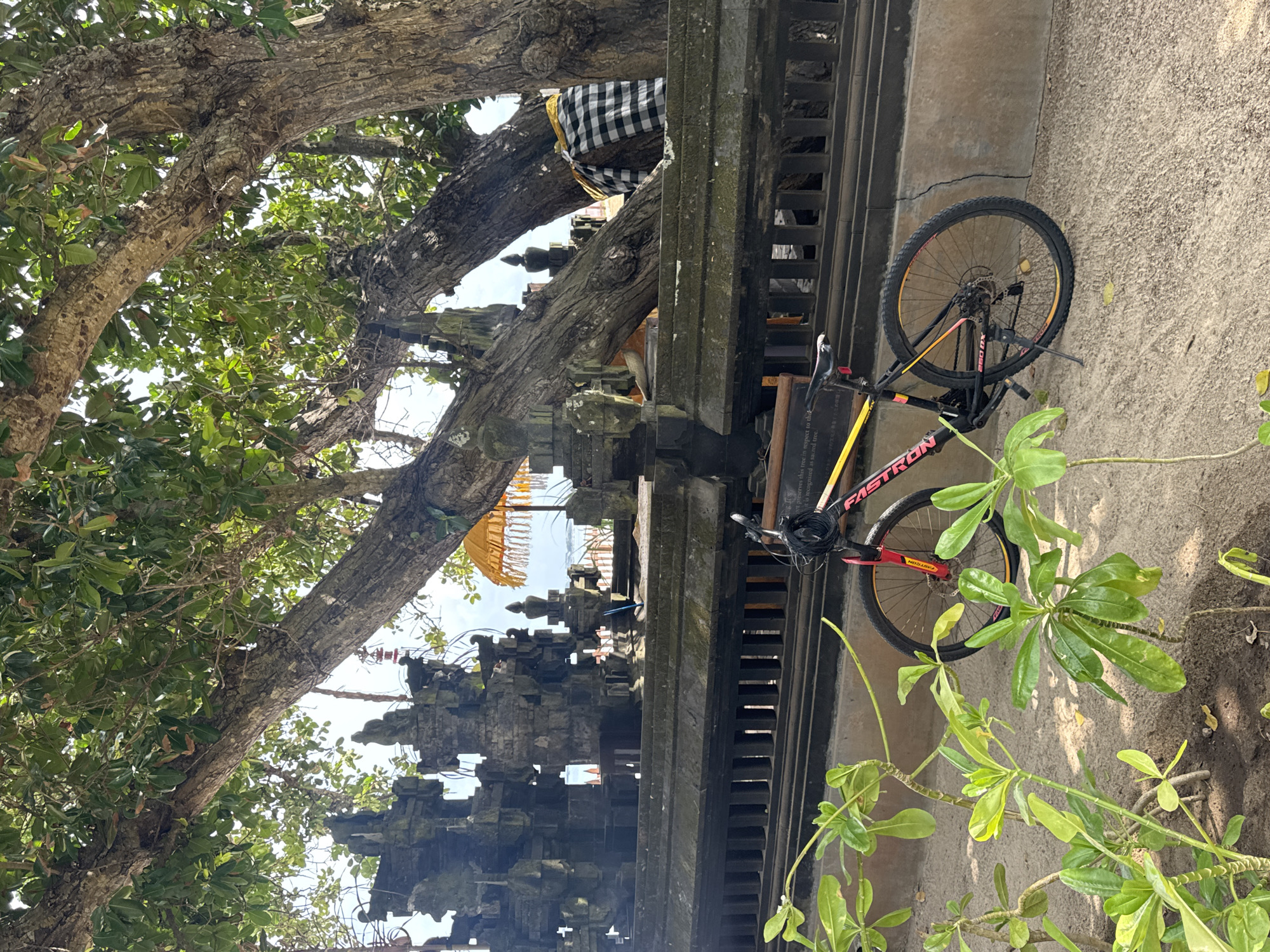 In Kuta Selatan, Indonesia, a black mountain bike with red and yellow accents stands parked on sandy ground, its kickstand engaged. The bike's frame displays the "FASTRON 260 MX" branding. Behind the bicycle, a weathered stone wall, part of a Balinese temple complex, stretches across the scene. Intricately carved stone structures rise from the wall, some adorned with a black and white checked cloth. Large, mature trees with thick, gnarled branches dominate the upper portion of the image, casting dappled shadows. Green foliage from smaller plants in the foreground partially obscures the lower left of the frame. In the background, a yellow umbrella with fringe is visible, hinting at the proximity of a beach or resort area, with the ocean and sky beyond. The overall atmosphere is one of tropical tranquility and cultural richness.