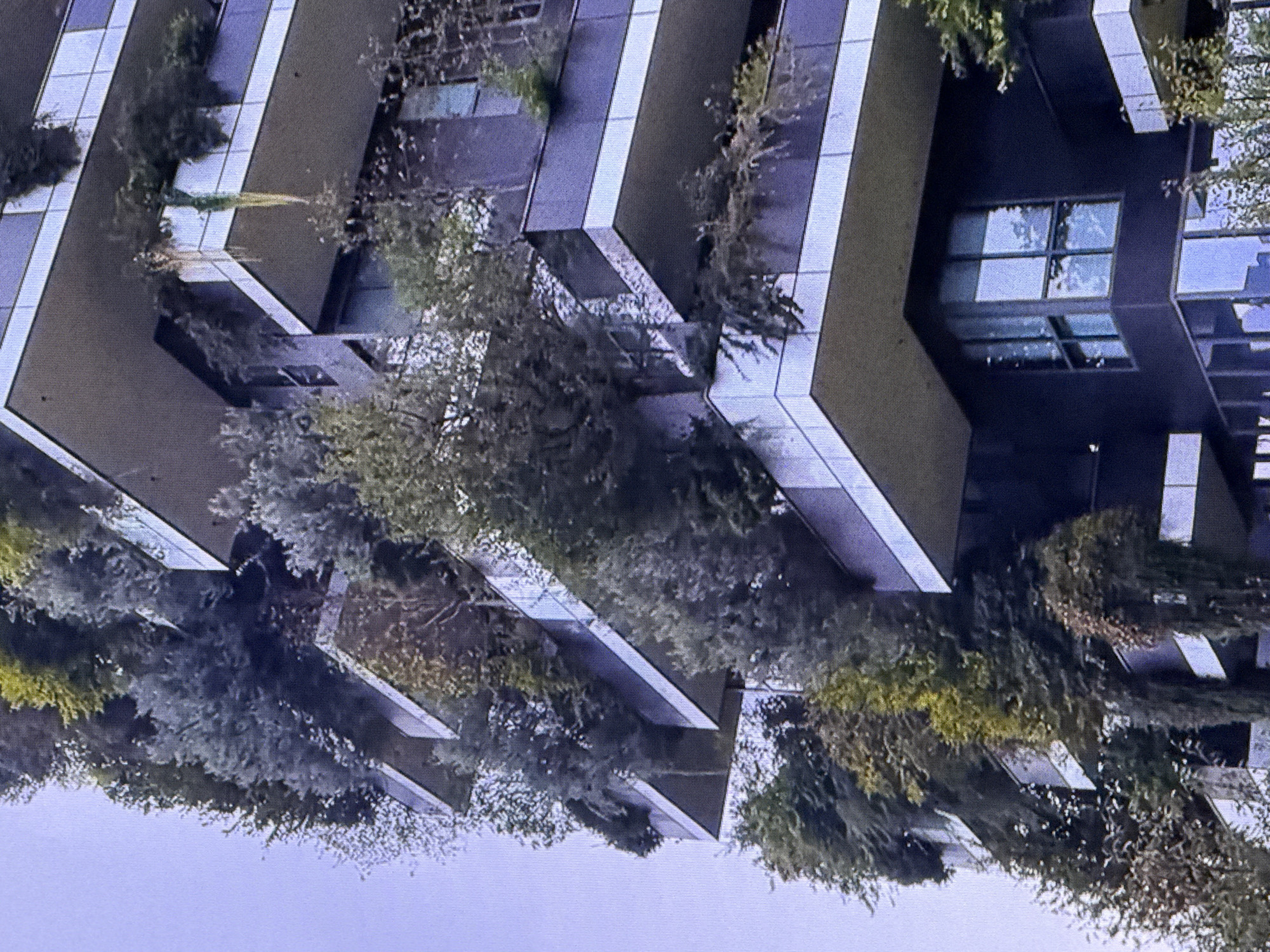 The image shows a close-up, upward view of a high-rise building covered in abundant greenery, with trees and plants integrated into its balconies and facade. The building's architecture features multiple staggered balconies with white railings and dark-colored walls. The sky is overcast with a pale blue-gray hue. The scene is an urban environment, however, there is no information to suggest this location is in Dubai, United Arab Emirates. The image does not contain any people or specific actions.