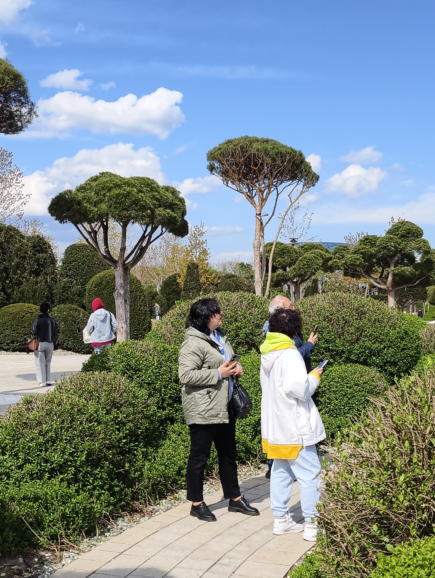 The image displays a sunny daytime scene within a meticulously landscaped park, consistent with the style of modern parks like the Krasnodar Park in Russia. Under a bright blue sky with scattered white clouds, several people are seen enjoying a leisurely stroll among various forms of sculpted greenery.
In the foreground, a group of three individuals is partially visible on the right. A woman in a white jacket with yellow accents and light blue pants holds a mobile phone, possibly taking a picture or referencing information. Next to her, another woman in an olive green jacket, black pants, and black shoes also holds a phone. A man in a dark top is partially visible between them, similarly engaged with a phone.
Further back on the left, a woman wearing a black leather jacket and grey pants walks along a paved path. Behind her, another person in a red hoodie and a light blue denim jacket, carrying a white bag, moves away from the viewer. Other indistinct figures can be seen in the background, suggesting a moderate number of visitors.
The park's distinctive features include numerous trees with unique, flat, umbrella-like canopies, resembling carefully pruned stone pines, alongside a variety of rounded and undulating bushes. These plants are arranged to create an aesthetically pleasing and varied landscape. The pathways are made of light-colored pavers, with sections bordered by small gravel. The overall atmosphere is calm and pleasant, indicating a perfect day for outdoor recreation in a beautifully maintained garden environment. No visible text is present in the image.
