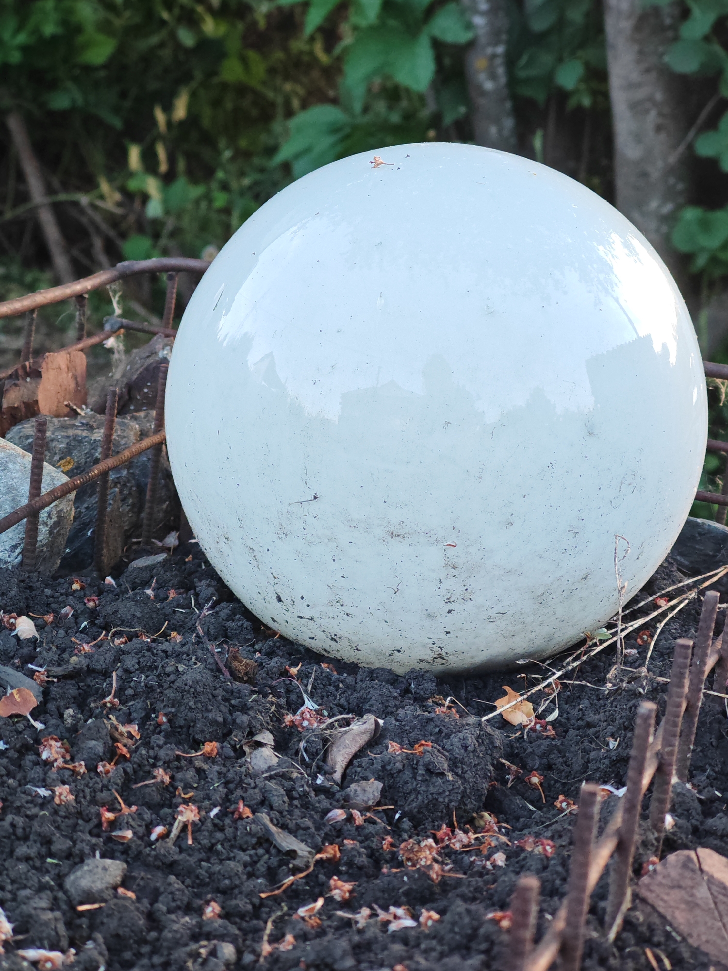 A close-up, outdoor, low-angle shot shows a large, dull white sphere resting on dark, rich soil littered with small, dried plant debris and a few scattered leaves. The sphere is slightly textured and appears to be made of a solid material, possibly glass or ceramic, and reflects the surrounding environment. In the background, out of focus, are green foliage, tree trunks, and thin, rusty metal rods forming a partial enclosure or structure around the sphere and soil. The overall impression is of an object placed or abandoned in a natural, somewhat overgrown setting. No people or animals are visible. The location is Altayskoye, Russia, a rural settlement.