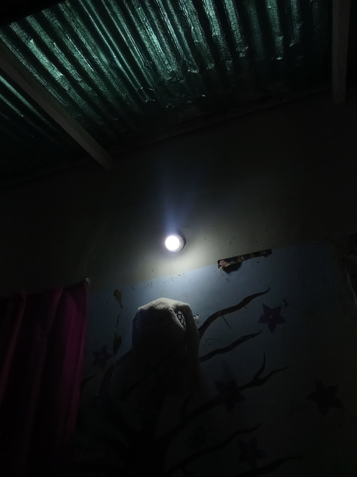 A dimly lit interior space, potentially a room, is illuminated by a single light source on the ceiling. The ceiling is constructed of corrugated metal. A section of the wall has floral decorations. A possible person is partially illuminated under the light. A curtain is visible on the left side of the frame. The location is specified as Juan Griego, Venezuela.