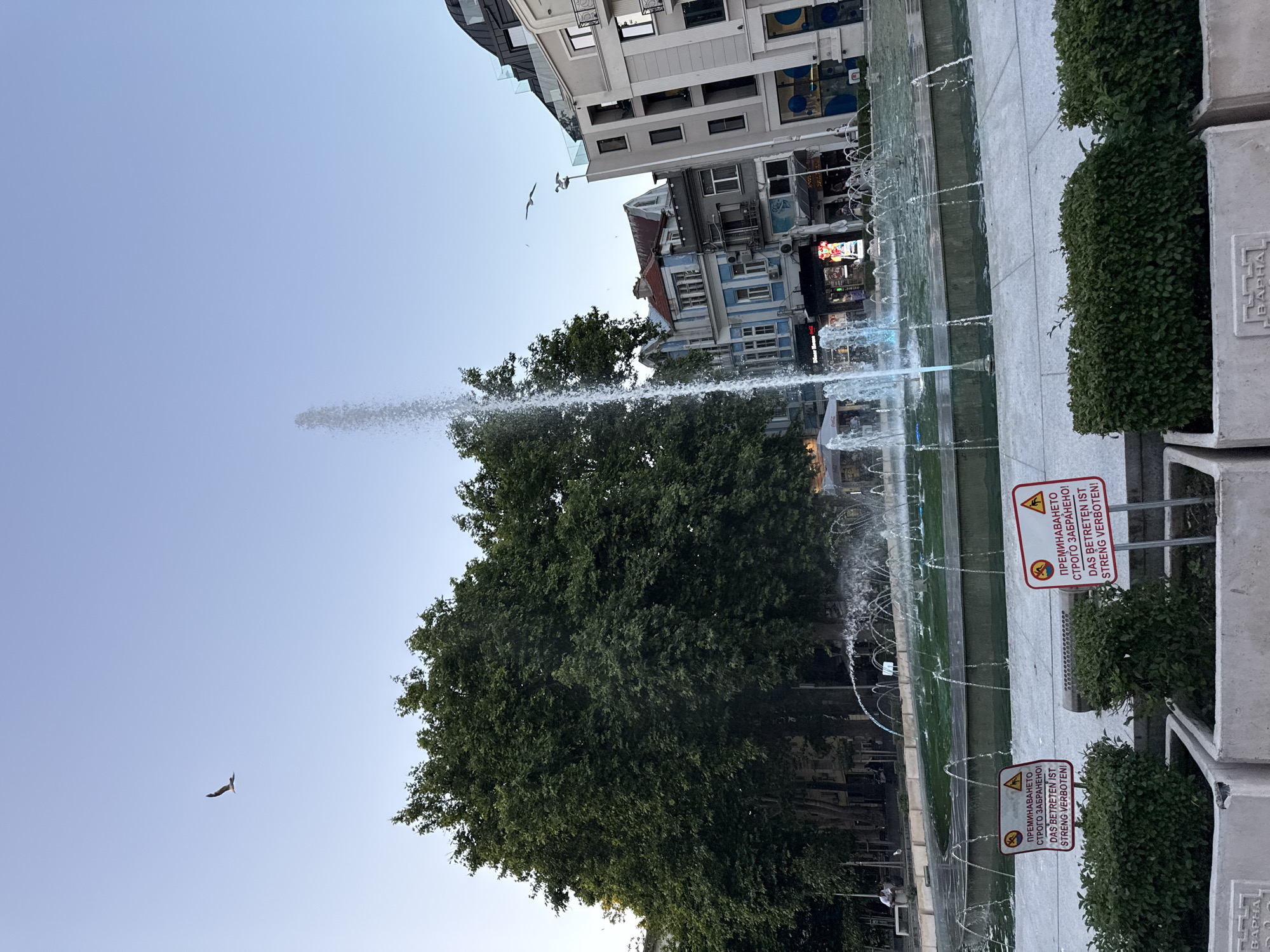 This is a vertical, eye-level, outdoor medium shot of a fountain with buildings in the background. The sky is a clear, light blue, suggesting a bright, possibly warm day. The fountain is active, with water jets spraying upwards and outwards, creating a dynamic, glistening effect. The water basin appears to be made of a light-colored stone or concrete, with some green shrubbery planted in planters along its edge.
In the background, there are several buildings of varying architectural styles. Some appear to be modern with large windows, while others have more traditional facades with balconies and distinct rooflines. The buildings suggest an urban or a town setting. There are also a few birds flying in the sky, adding a sense of movement and life to the scene.
Two red and white warning signs are visible, placed on poles in front of the shrubbery. These signs contain text in multiple languages, including Bulgarian and German, and feature pictograms indicating danger or prohibition. One pictogram shows a person falling into water, and another shows a person being struck by lightning, suggesting safety warnings related to the fountain area. The text on the signs translates to "ENTRY STRICTLY PROHIBITED!" and "TRESPASSING IS STRICTLY FORBIDDEN!". The word "VARNA" appears on some of the planters, indicating the location is likely Varna, Bulgaria.
The overall impression is a lively public space, possibly a plaza or a promenade, where people can relax and enjoy the water feature, while also being cautioned about safety. The time of day appears to be late afternoon or early evening, given the angle of the light.