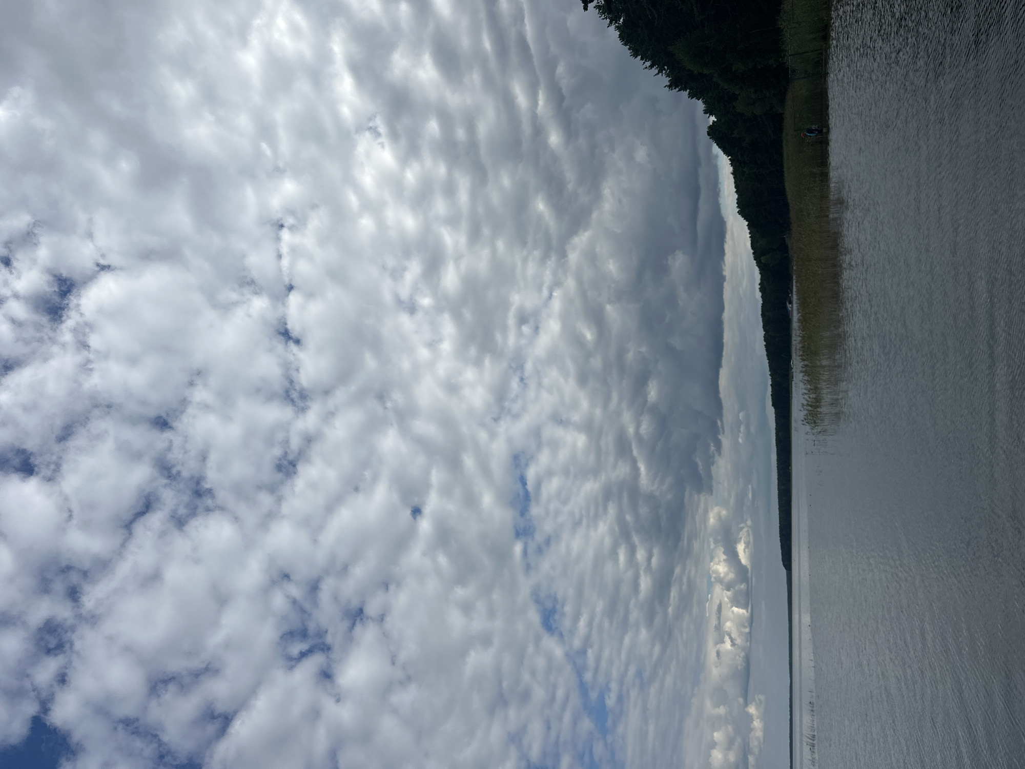 The image depicts a wide expanse of water, likely a lake, under a cloudy sky. The water is calm with gentle ripples, reflecting the overcast conditions. Along the far shore, a dense line of dark green trees forms a treeline that stretches across the horizon. In the foreground, closer to the shore, there are reeds and tall grasses emerging from the water. A single person, appearing to be wearing a backpack and a hat, is visible standing near the edge of the water amongst the reeds on the right side of the frame. The sky is filled with a dramatic display of white and grey clouds, with patches of blue sky visible in the upper left portion of the image. The overall scene suggests a natural, tranquil setting in the Нарацкі сельскі Савет region of Belarus.