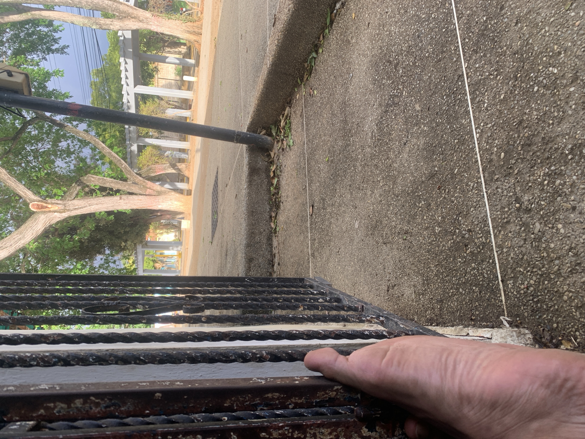 The image, originally oriented vertically, captures an outdoor scene from a low vantage point, looking past a metal gate. In the immediate foreground on the right, a bare human foot, appearing to be a right foot, with visible wrinkles on the sole, is resting on or holding a dark, rusty, ornate metal gate or railing.
Beyond the gate, a textured concrete or paved surface, possibly a sidewalk, extends into the midground. A raised curb separates two sections of this paved area, with some dry leaves scattered along its base. A black utility pole or street lamp post stands firmly in the concrete. A faint white line is visible running diagonally across the paved ground in the middle-to-far distance.
In the background, a cluster of large trees with gnarled, light-colored trunks and abundant green foliage dominates the left side of the frame and extends across the upper and middle portions. Through the leaves and branches, a bright, clear or lightly overcast sky is visible. To the right of the trees, an open-air structure with white or light-colored pillars and beams, possibly a pergola or part of a building, is partially seen.
The scene is brightly lit, indicating daytime. No specific activity is depicted beyond the presence of the foot and the observation of the surroundings. There is no visible text. The location is La Tagua, Venezuela.