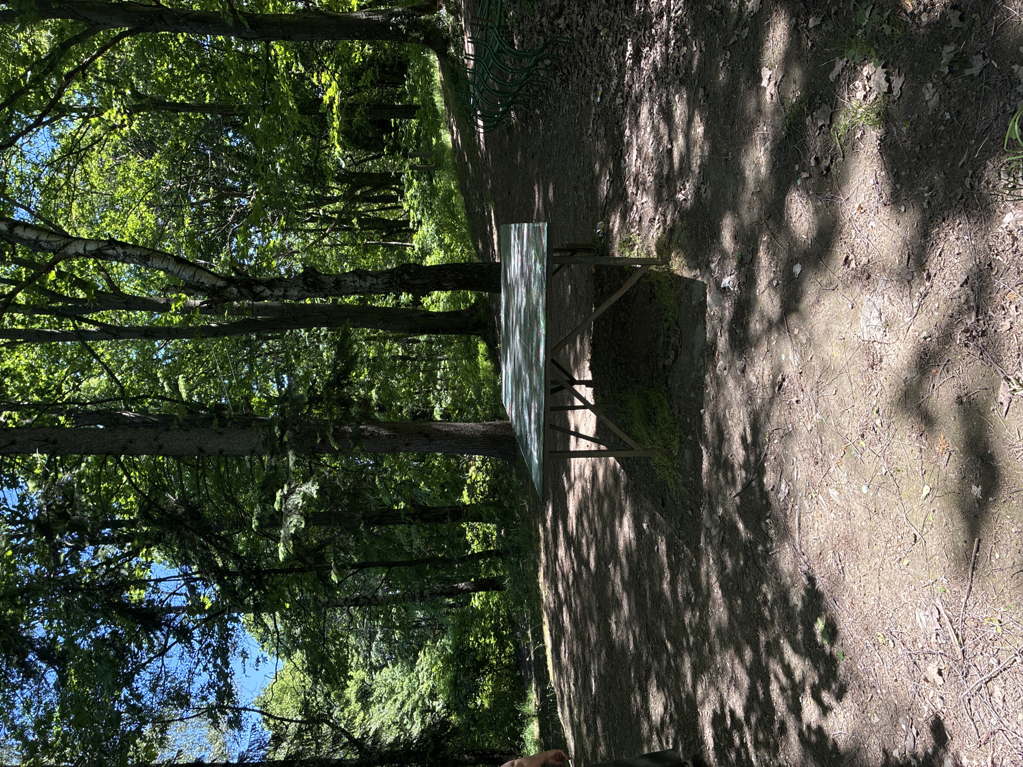 A landscape-oriented, outdoor scene appears to be set in a wooded area, possibly a park, and could conceivably be within the city of Sofia, Bulgaria. A metal table, apparently empty, is situated along a dirt path that winds through the trees. The forest setting is indicated by the presence of numerous trees with dense green foliage that filters the sunlight, creating patterns of light and shadow on the ground. The path, covered with leaves and debris, shows signs of use. The photograph's composition is taken from a level perspective, with the scene extending into the background, suggesting the path continues through the wooded area. There are no people visible in the immediate scene.