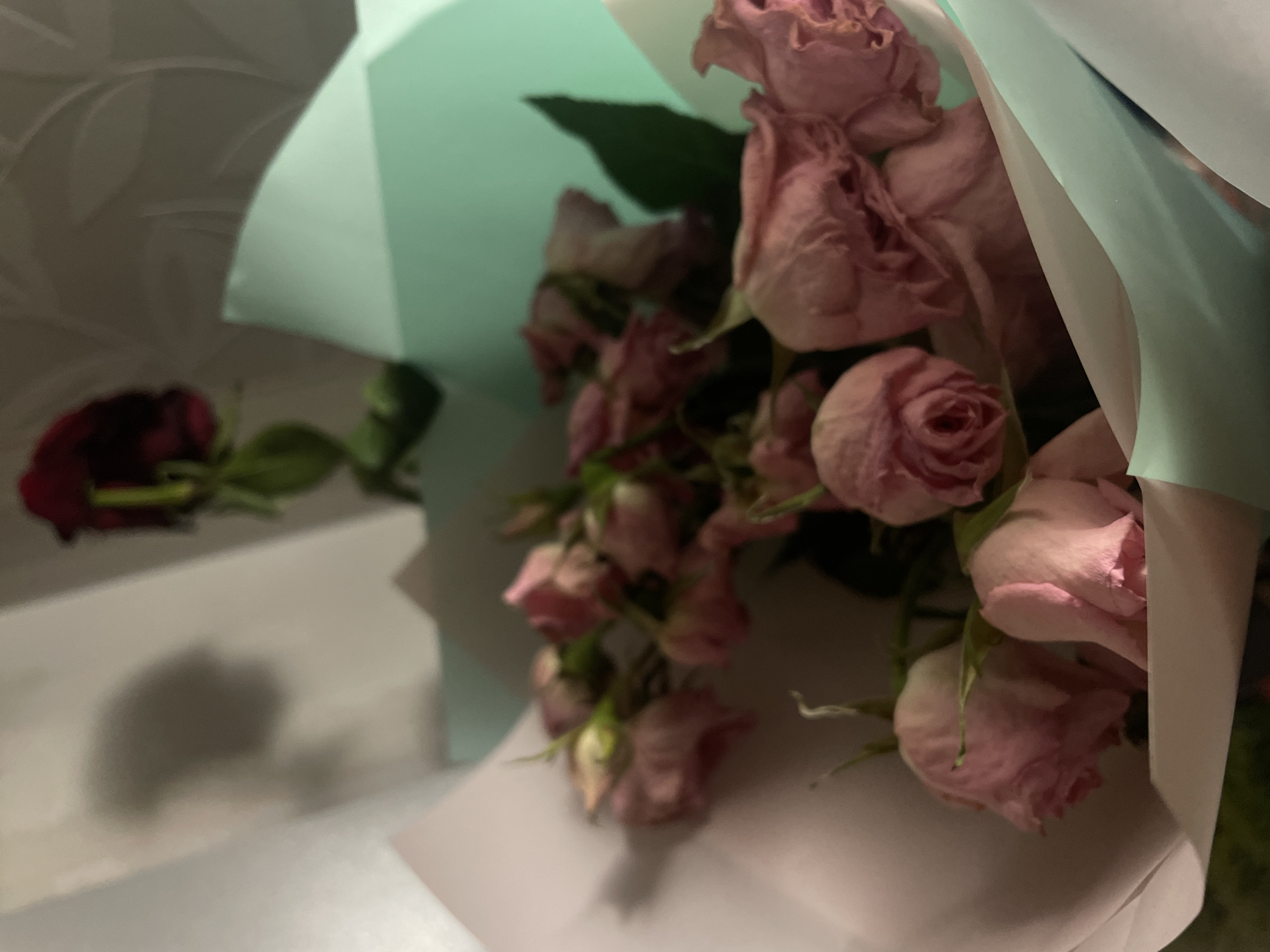 The image shows a bouquet of pink roses wrapped in light blue and white paper. The roses appear to be slightly wilted or dried. To the left of the bouquet, out of focus, is a single, dark red rose lying on a white surface, possibly a table or counter. The background is a light gray wall, suggesting an indoor setting. There is no evidence to suggest the location is in Saint Petersburg, Russia.
