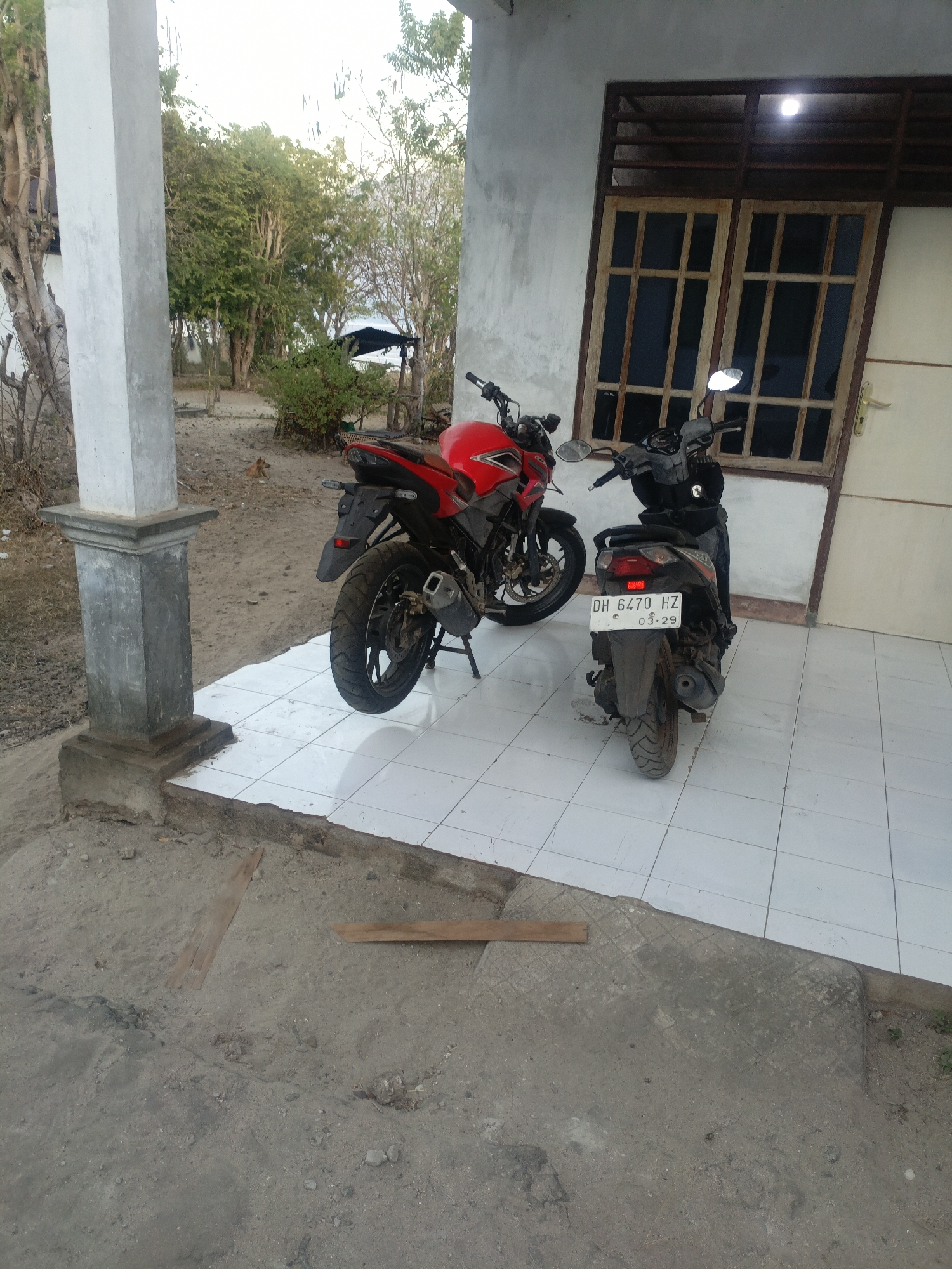 The image depicts an outdoor scene in Solor Barat, Indonesia, featuring two motorcycles parked on a tiled patio in front of a building. The building has a white plastered wall and a window with wooden framing and dark panes. A light fixture is visible inside the window. The patio is bordered by unpaved ground with scattered debris and vegetation.
The motorcycle on the left is red and black, with its rear wheel and taillight clearly visible. The motorcycle on the right is dark gray and has a license plate that reads "DH 6470 HZ 03-29". The license plate is slightly obscured by dirt.
A concrete pillar stands to the left of the patio, supporting an overhang. In the background, trees and bushes are visible, along with a simple structure covered by a dark roof. A dog is also present in the background, lying on the ground. Two pieces of wood are placed on the unpaved ground in the foreground. The lighting suggests it is daytime.
