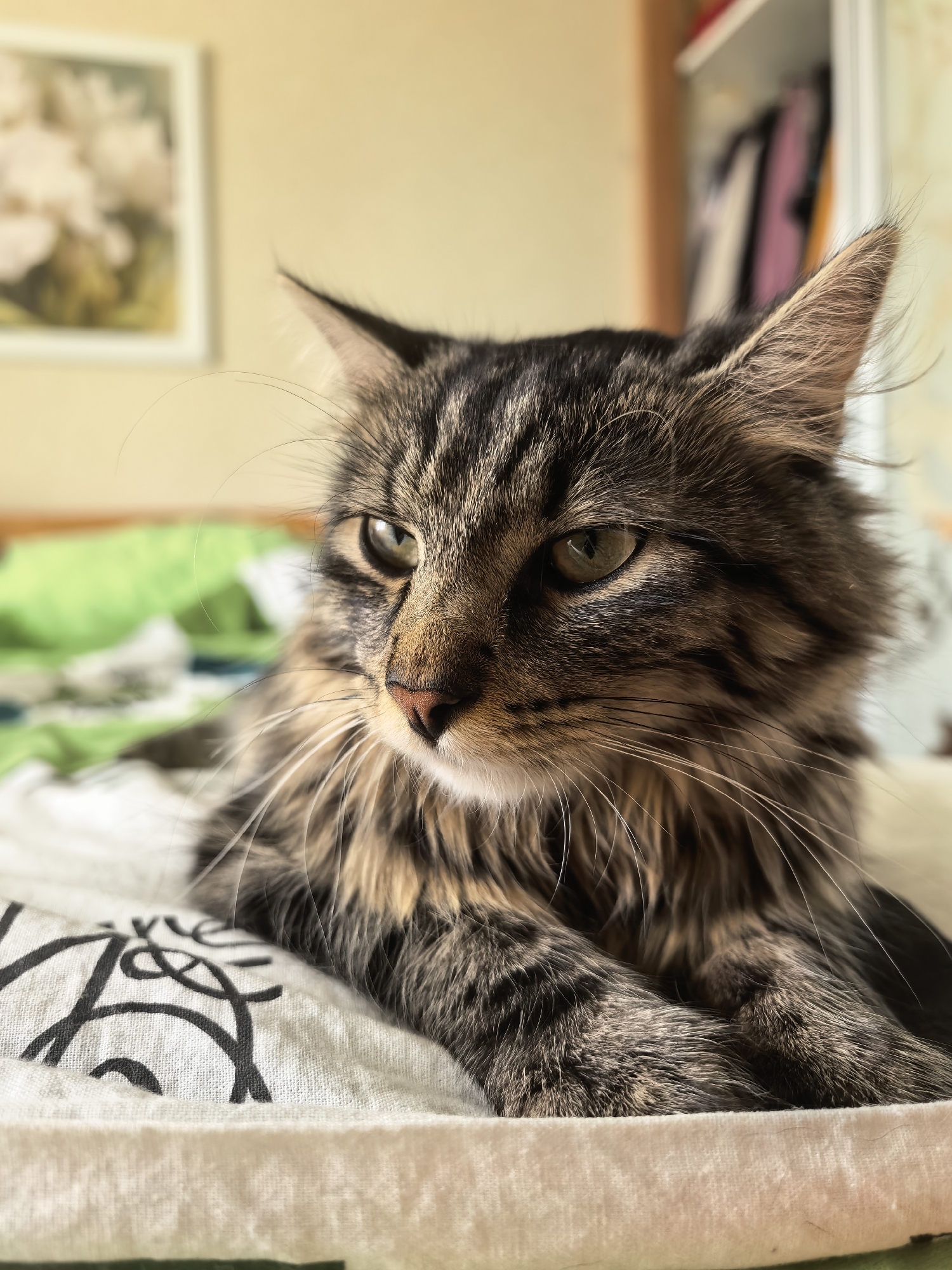 A close-up, low-angle shot features a tabby cat resting on a white, patterned blanket. The cat's face, a mix of brown, black, and gray stripes, is turned to the left, with its green eyes looking slightly downward. Its whiskers are long and prominent. The background is out of focus, showing a pale yellow wall with a framed picture on the left and a white shelf with clothes on the right. A hint of green fabric is visible behind the cat. The lighting is soft, suggesting an indoor environment.