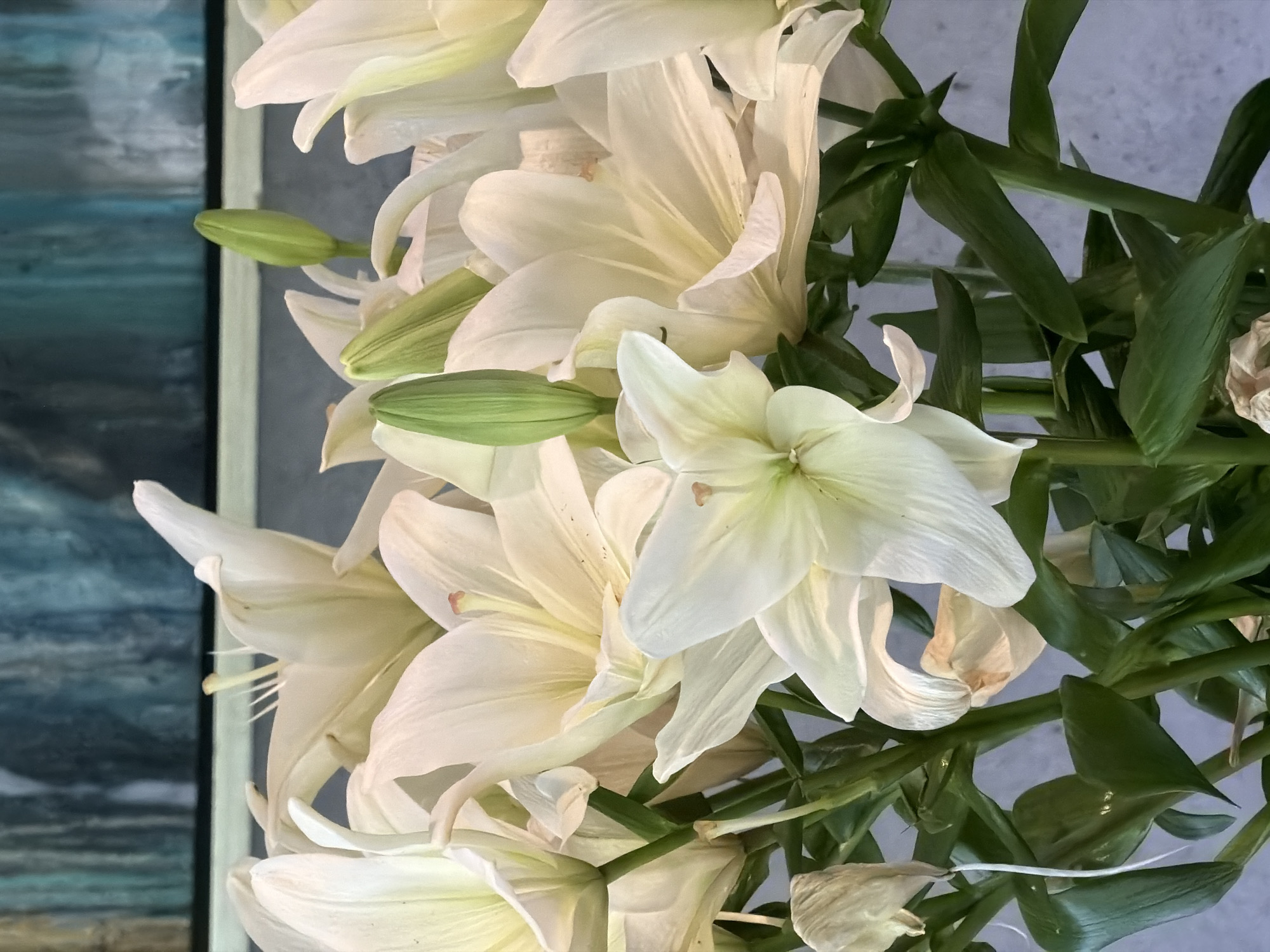 A close-up photograph showcases a bouquet of white lilies. The lilies are in various stages of bloom, with some buds still closed and green, while others are fully open, displaying delicate petals. The petals are primarily white with subtle hints of yellow and green. The flower stems are interspersed with green leaves. The background is a textured light blue and white. The location in the city of Chkalov, Armenia cannot be determined from the visual data provided.